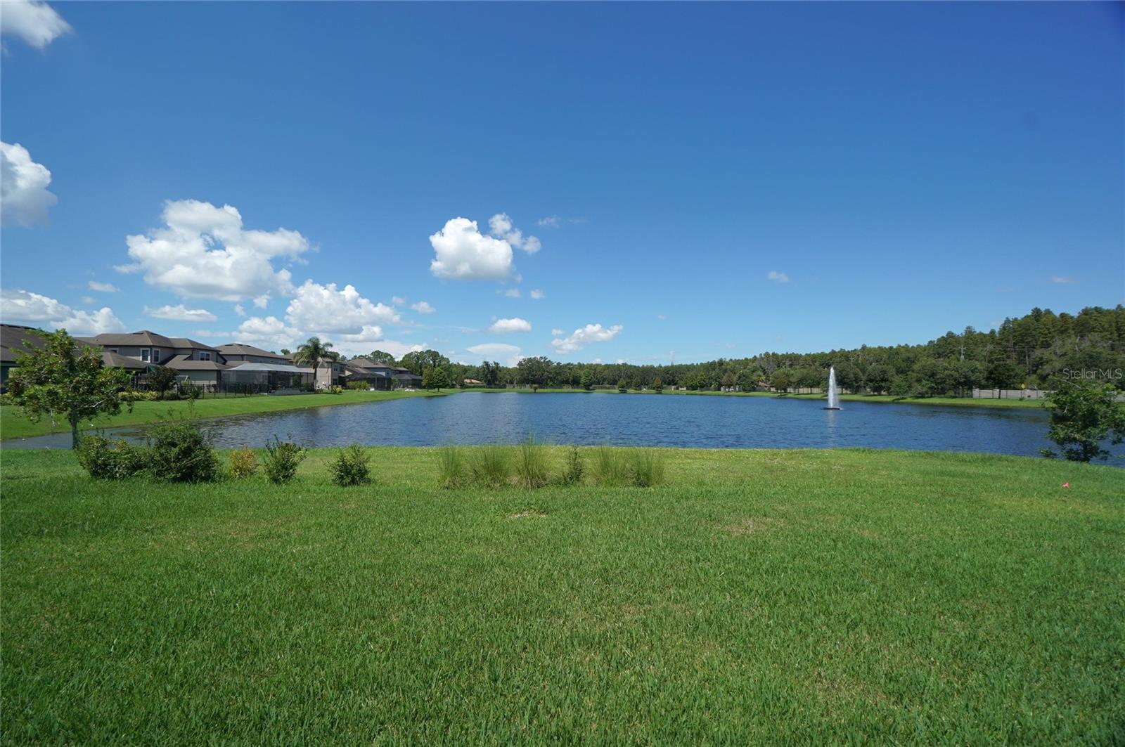 Image 16 of 44 For 18824 Birchwood Groves Drive