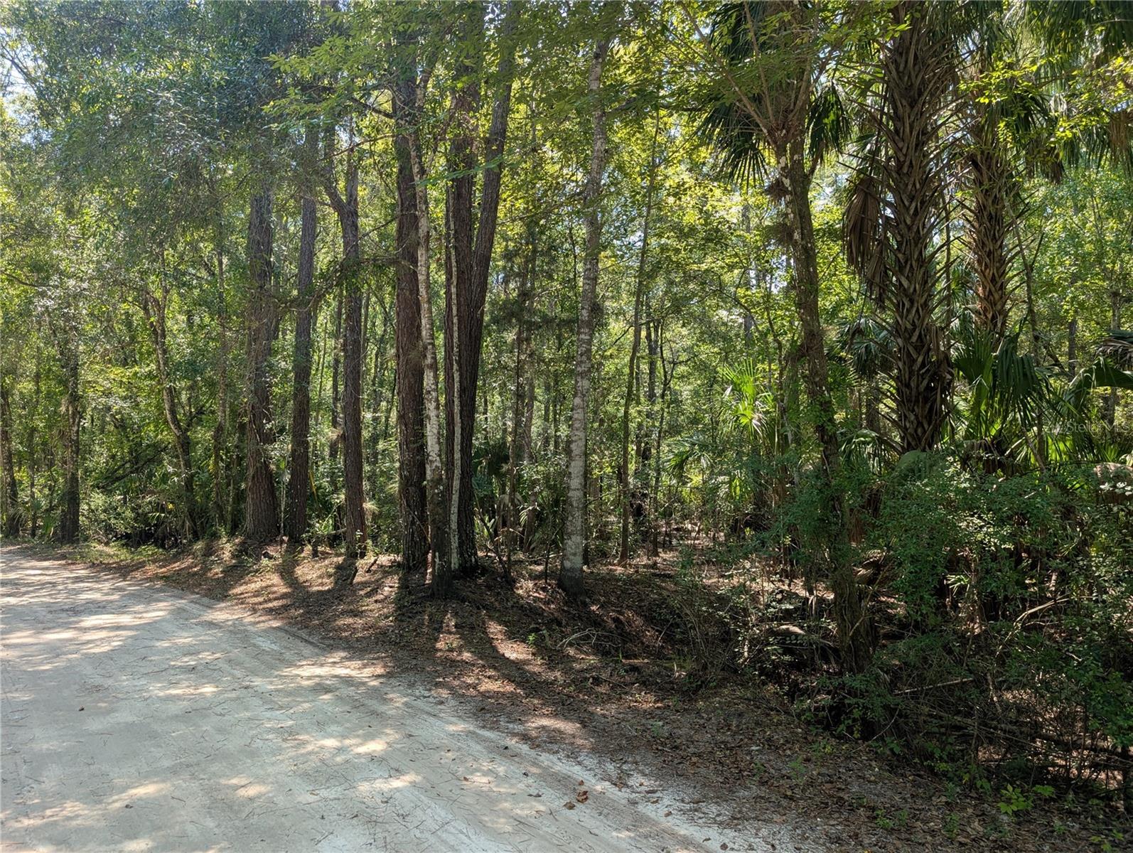 Details for 6252 River Road, HERNANDO, FL 34442