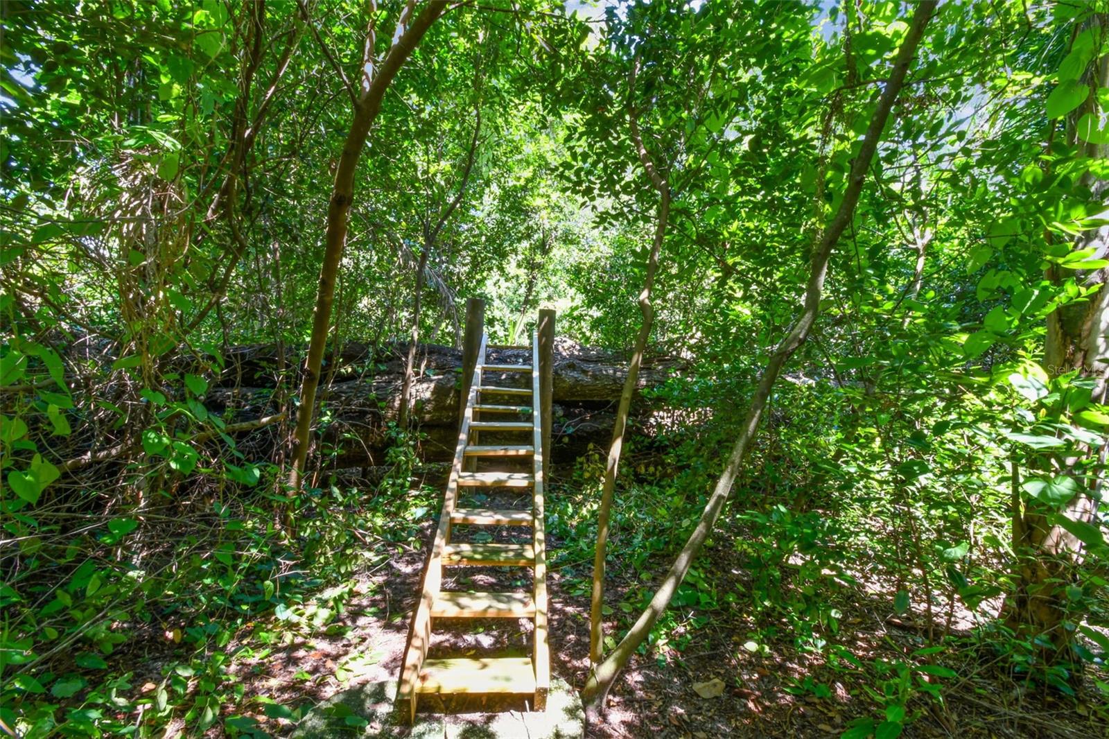 Image 69 of 82 For 1509 Little Johns Trail