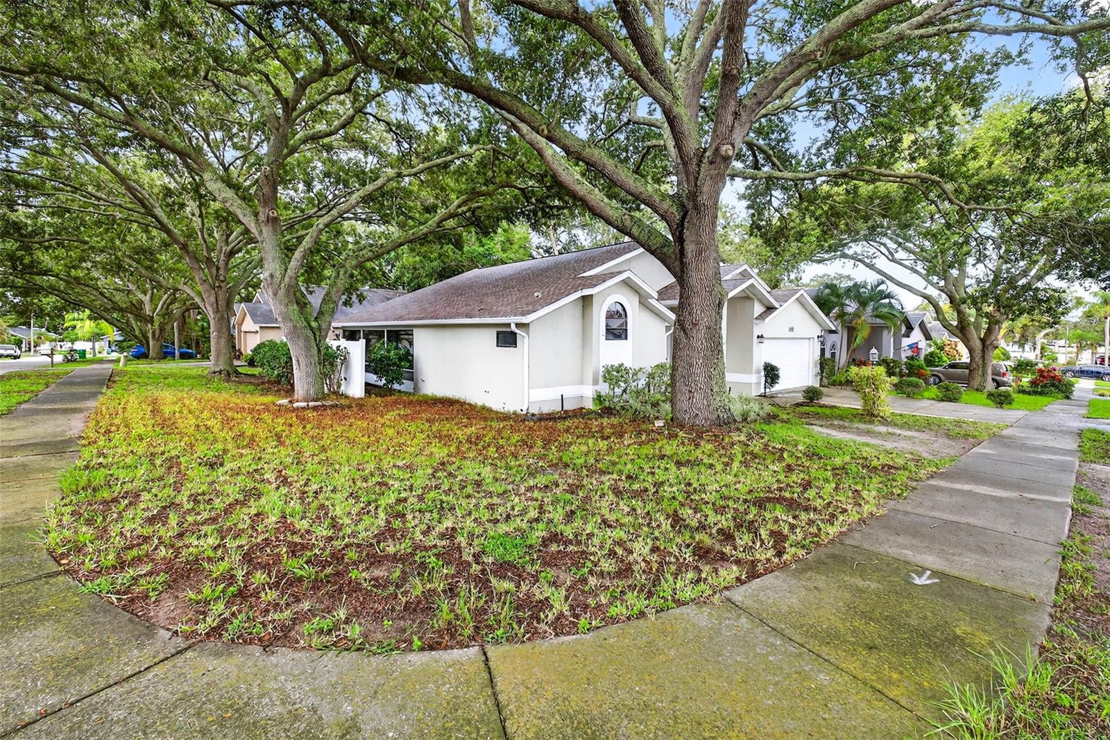 Details for 890 Kriswell Court, PALM HARBOR, FL 34683