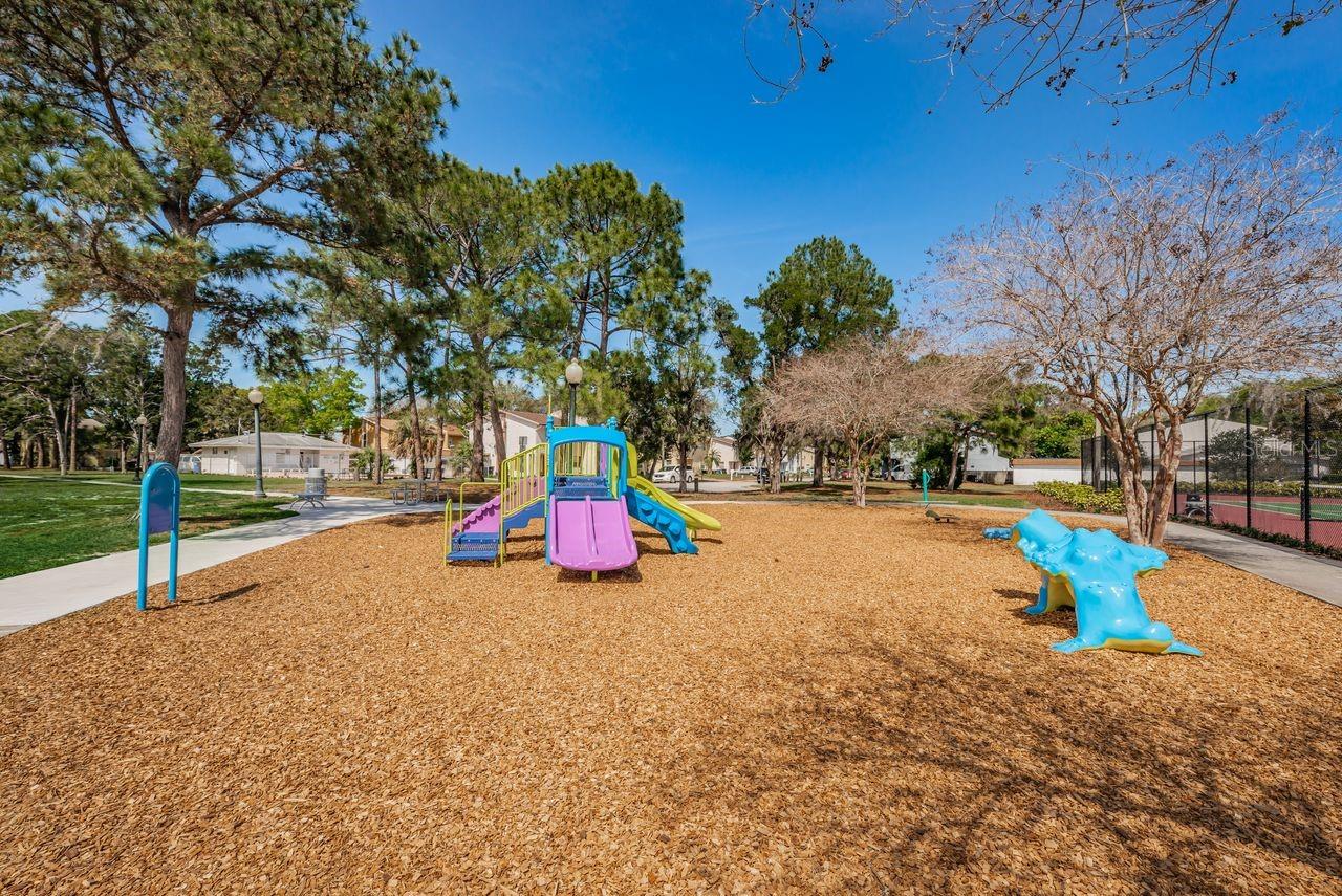 Image 54 of 61 For 1954 Los Lomas Drive