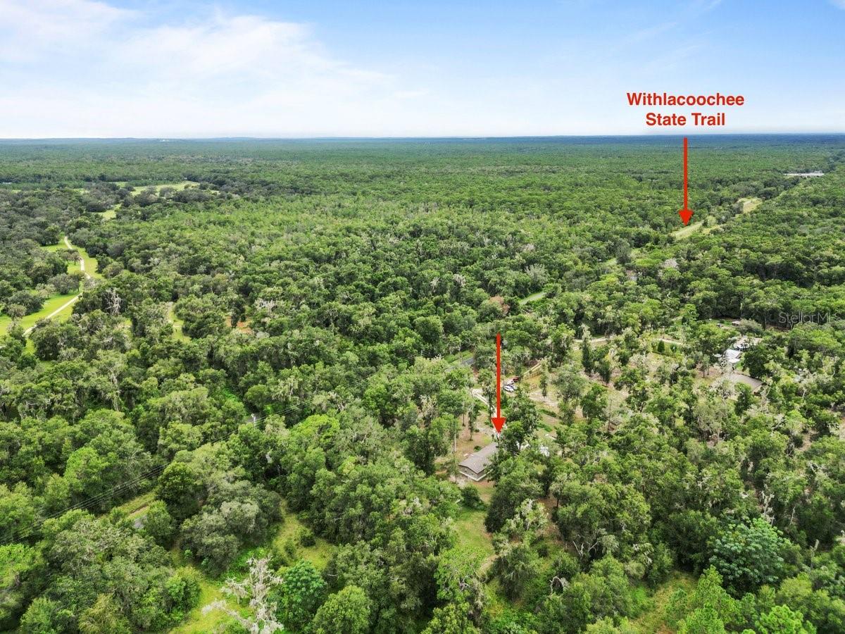 Image 6 of 22 For 9056 Rosco Trail