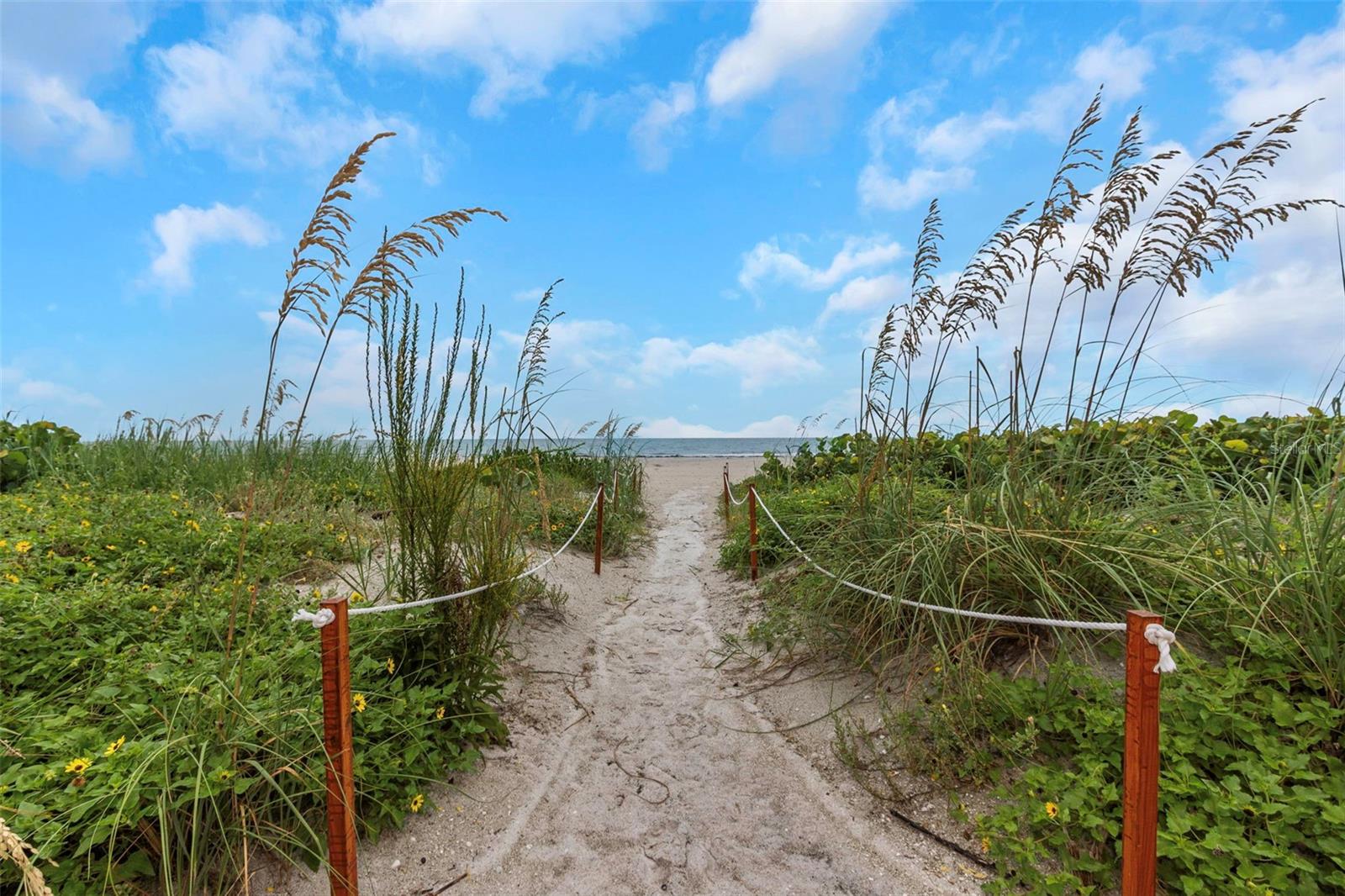 Image 18 of 83 For 1480 Gulf Boulevard 506