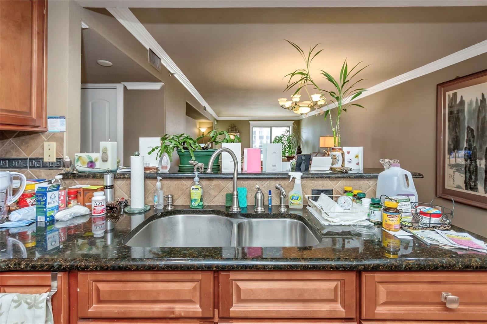 Image 30 of 83 For 1480 Gulf Boulevard 506