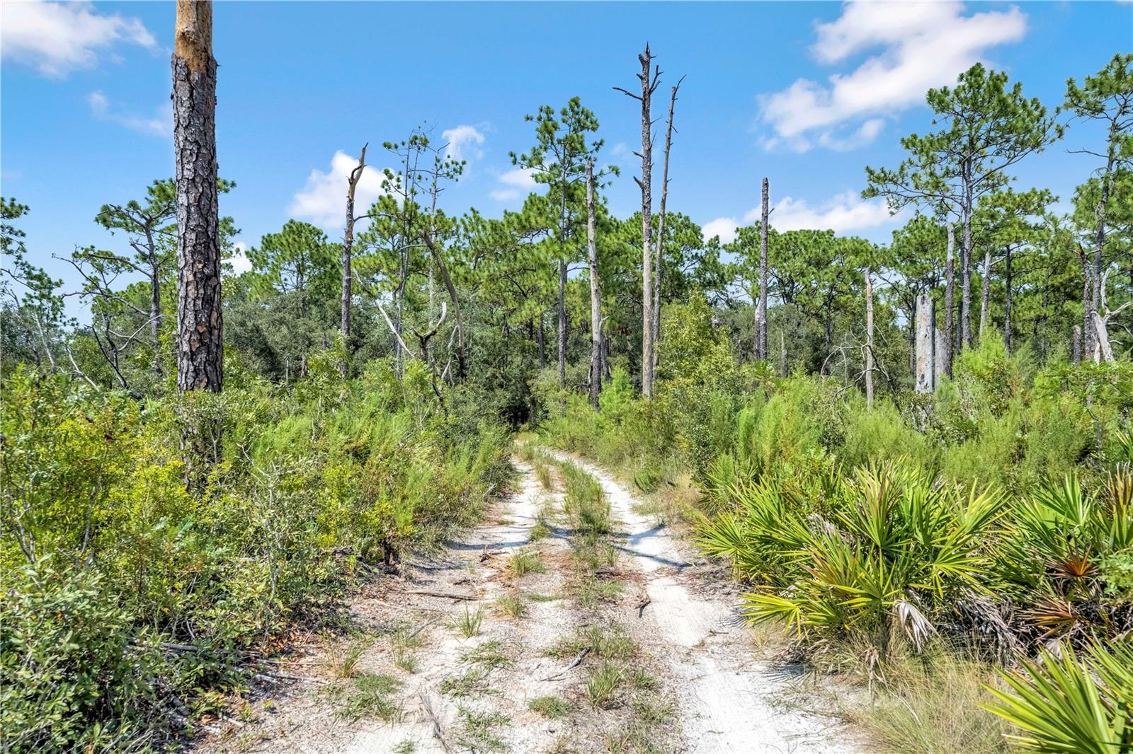 Image 13 of 15 For Restoration Road