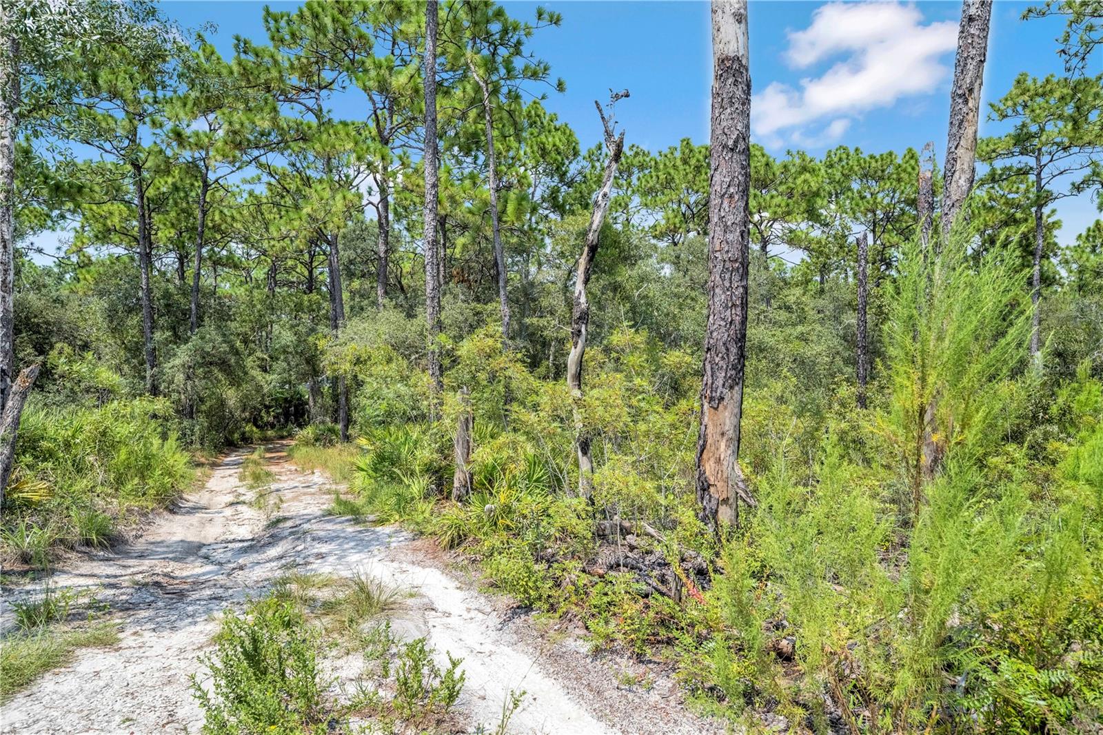 Image 14 of 15 For Restoration Road