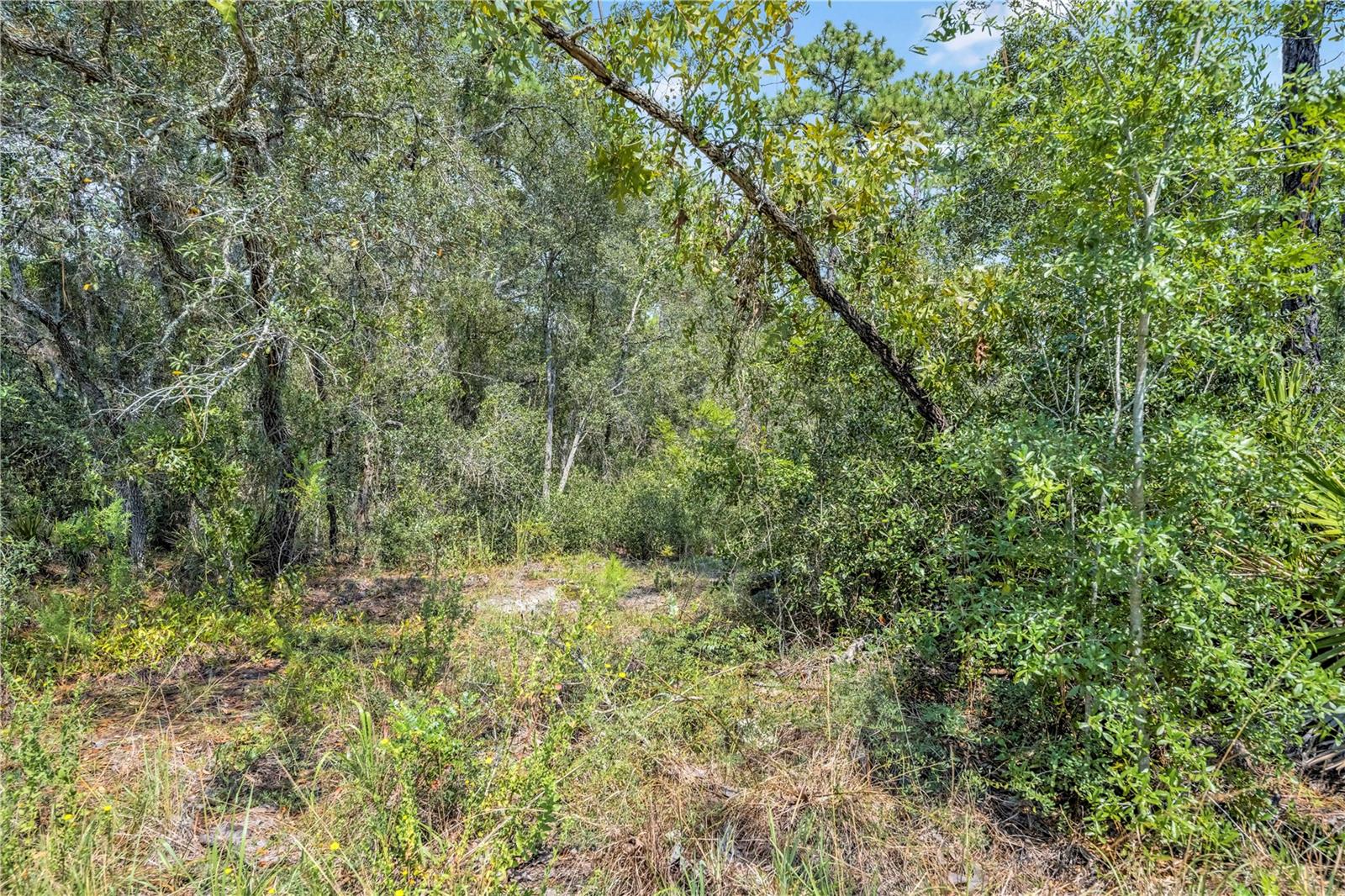 Image 15 of 15 For Restoration Road
