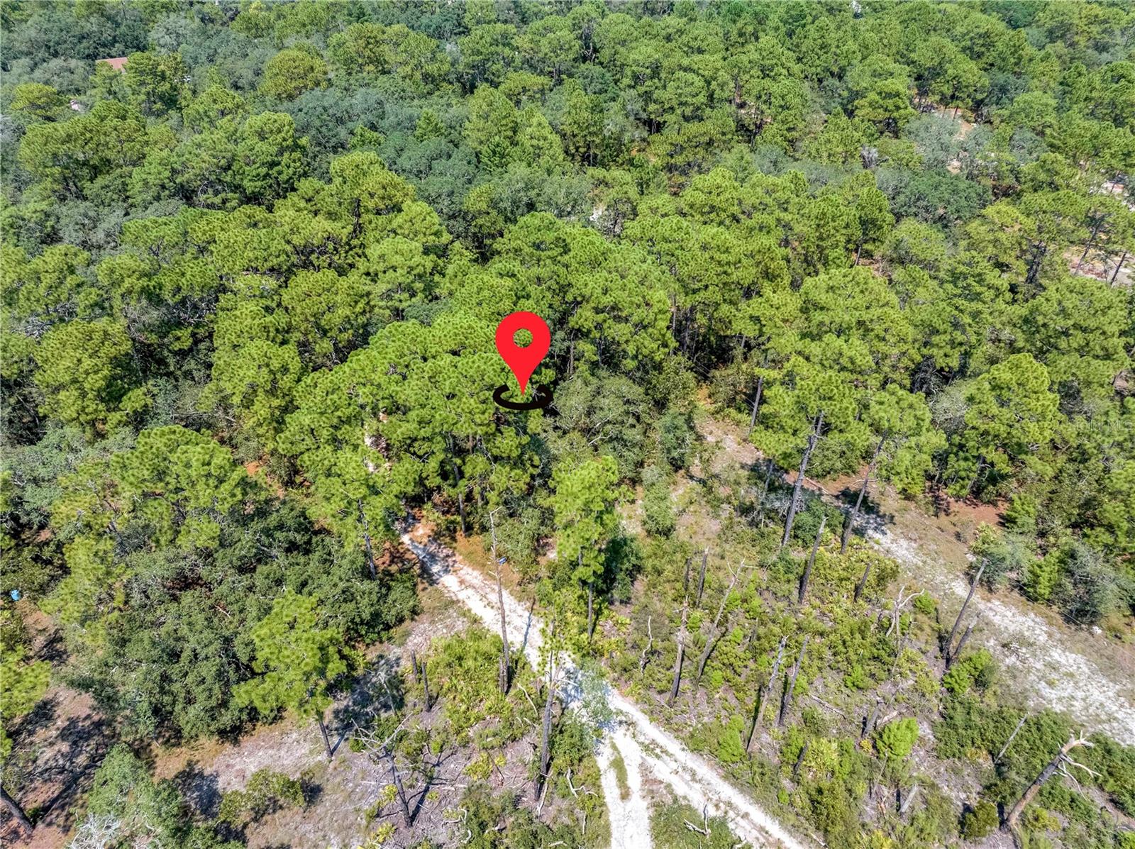 Image 3 of 15 For Restoration Road