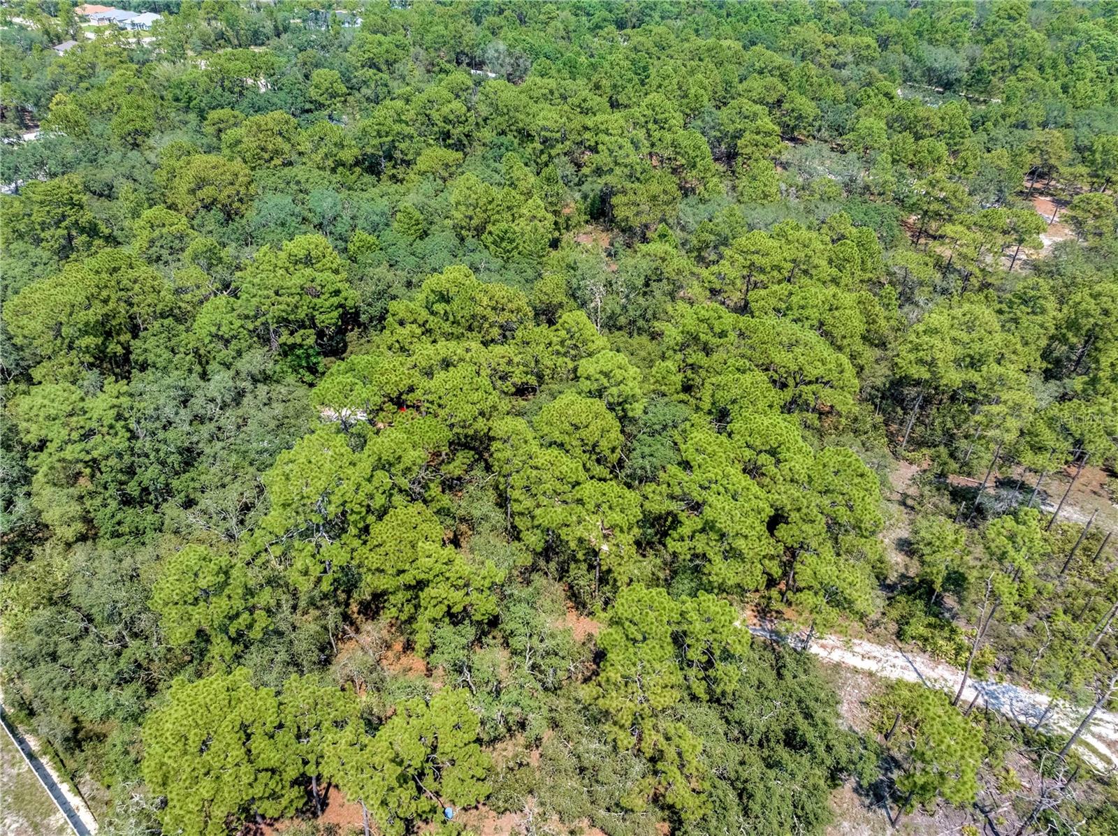 Image 5 of 15 For Restoration Road