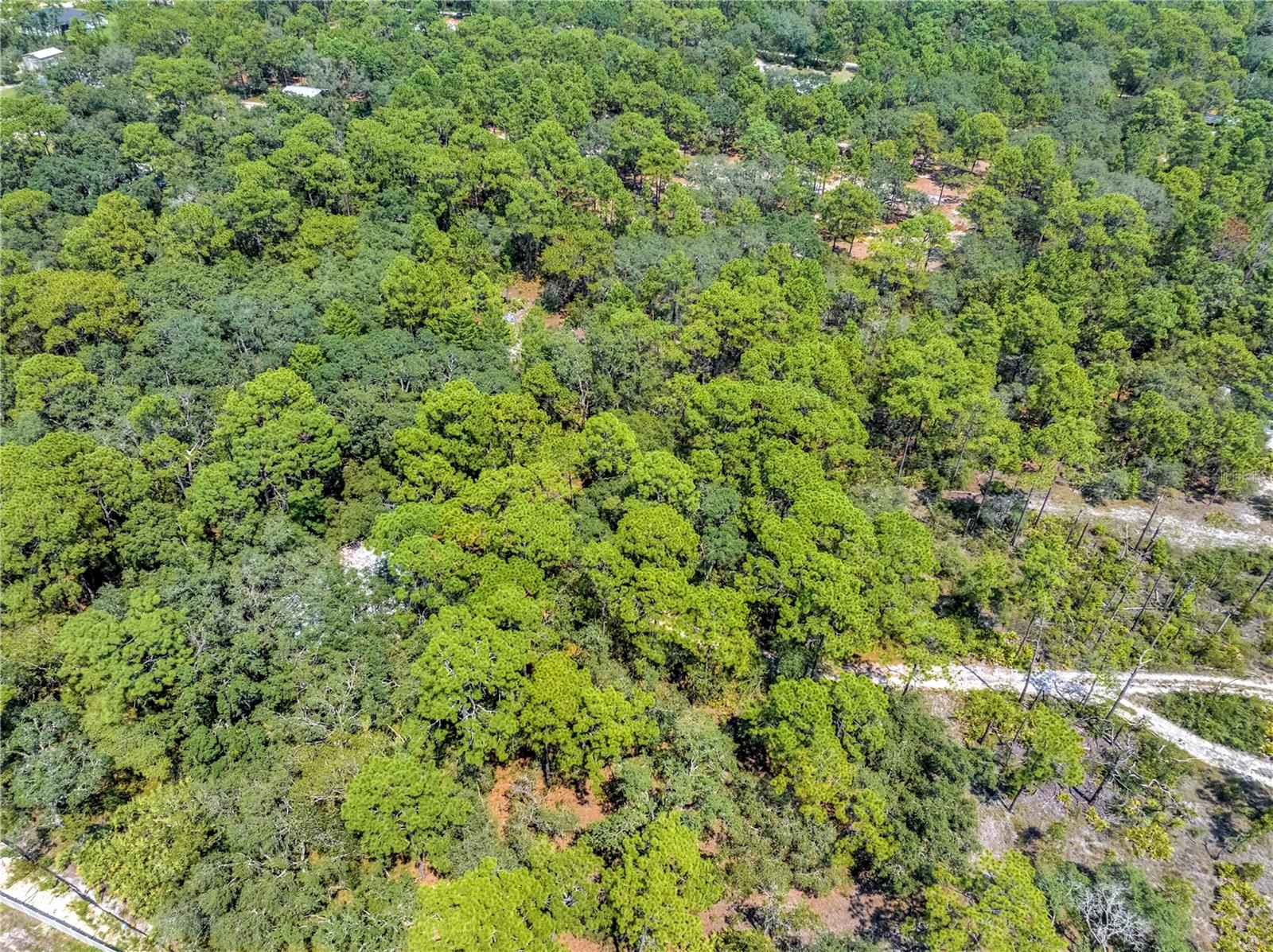 Image 7 of 15 For Restoration Road
