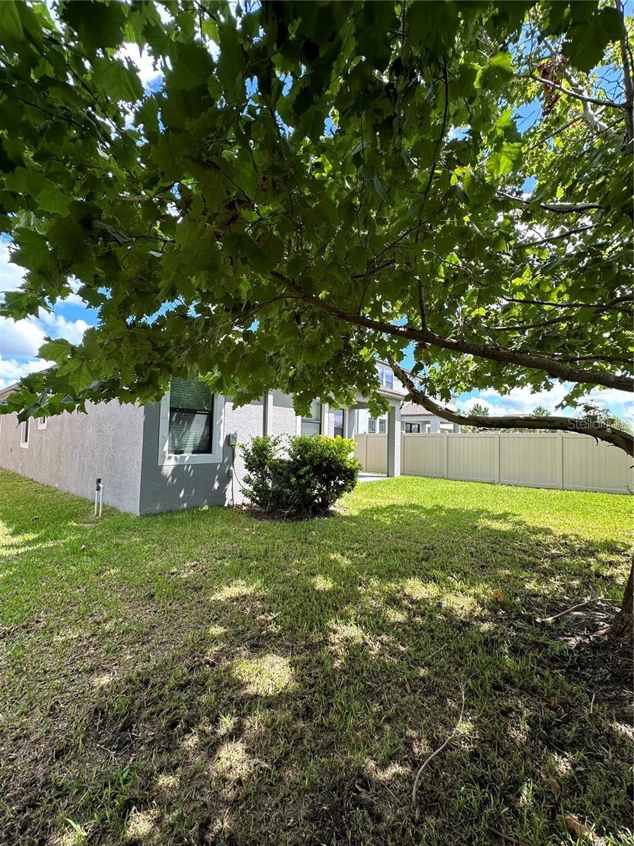 Image 40 of 46 For 9845 Ivory Drive