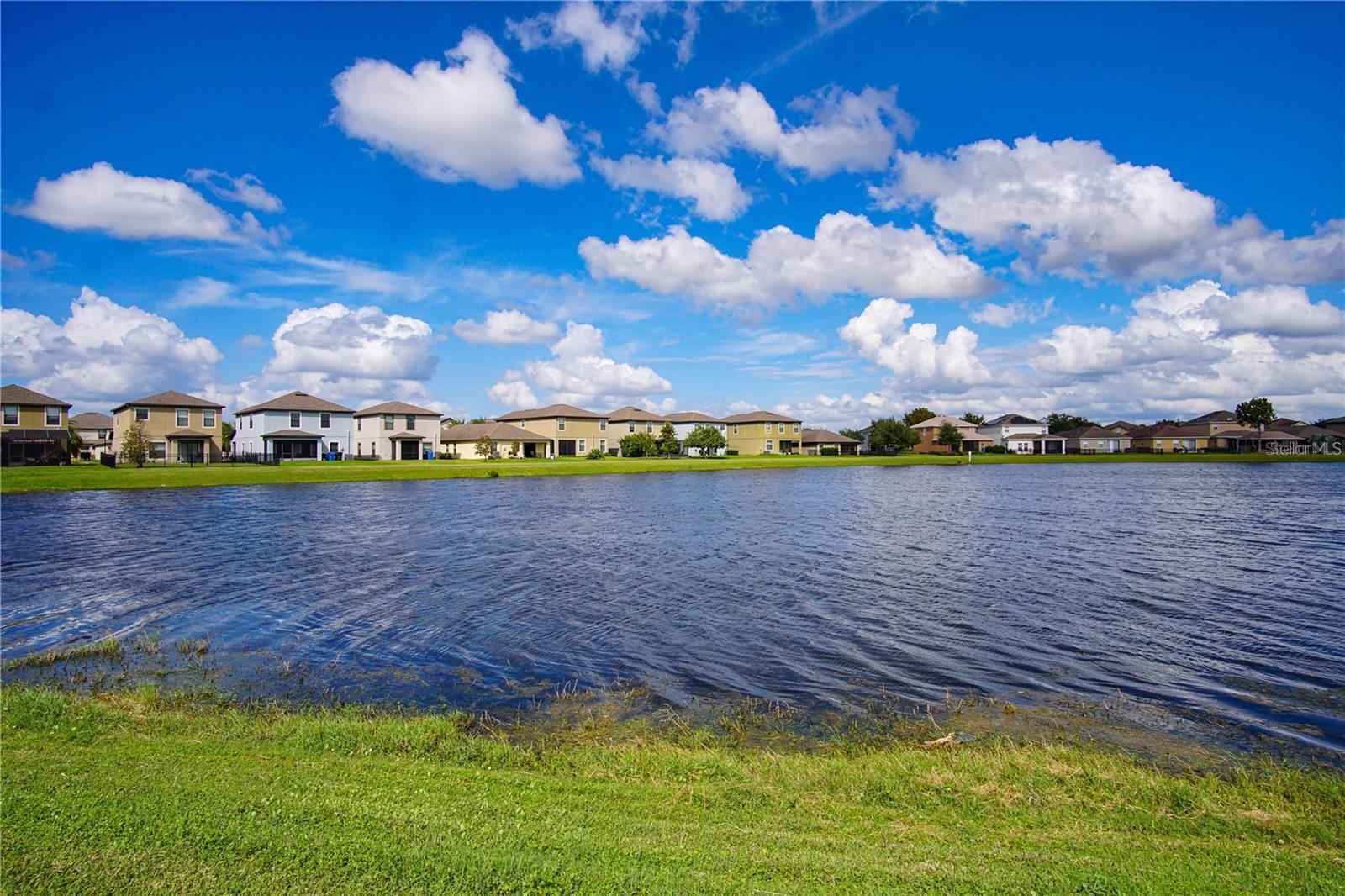 Image 46 of 46 For 9845 Ivory Drive