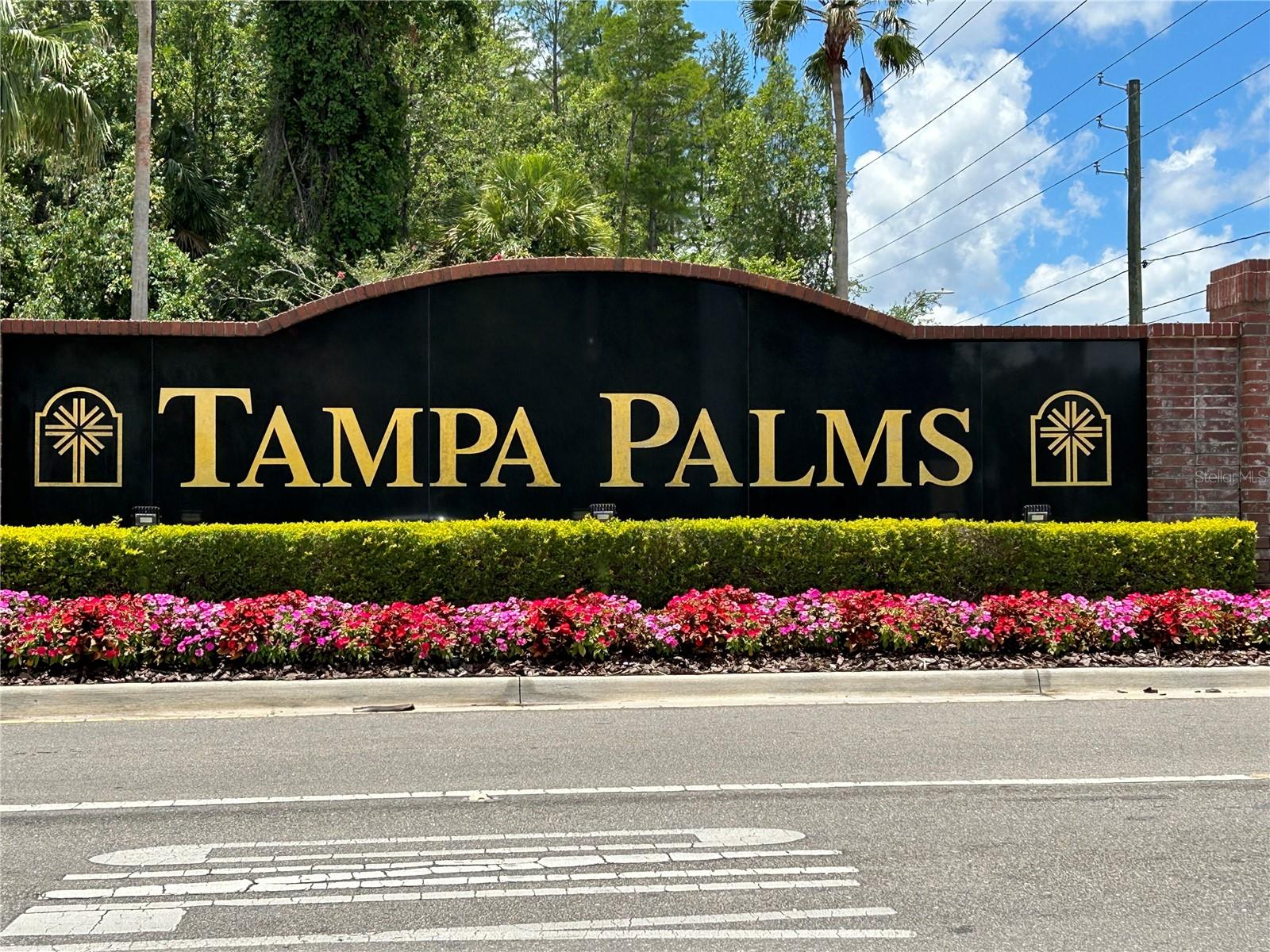Listing photo id 27 for 6222 Ashbury Palms Drive
