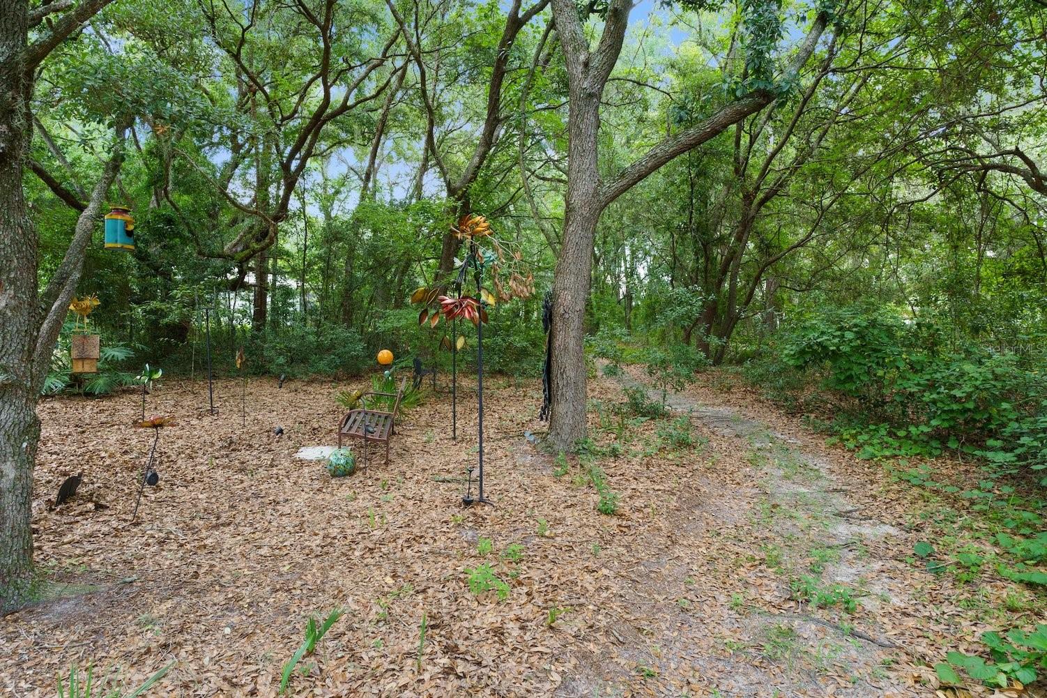 Image 47 of 54 For 2321 Hickory Glen Point