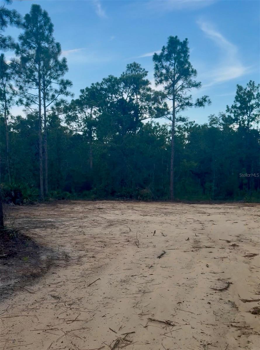 Details for 13358 Potomac Avenue, BROOKSVILLE, FL 34614