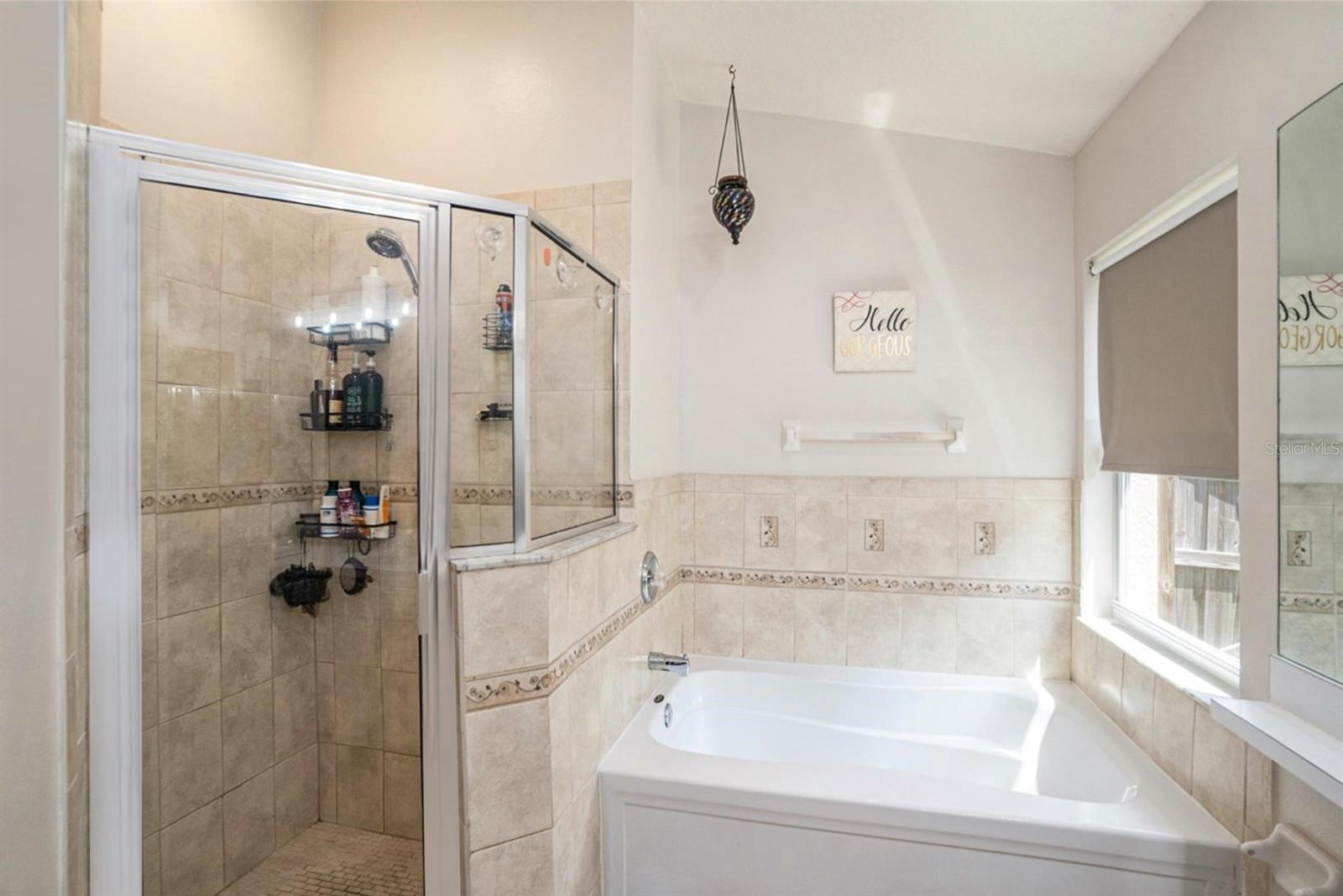 Image 17 of 32 For 30618 Tremont Drive
