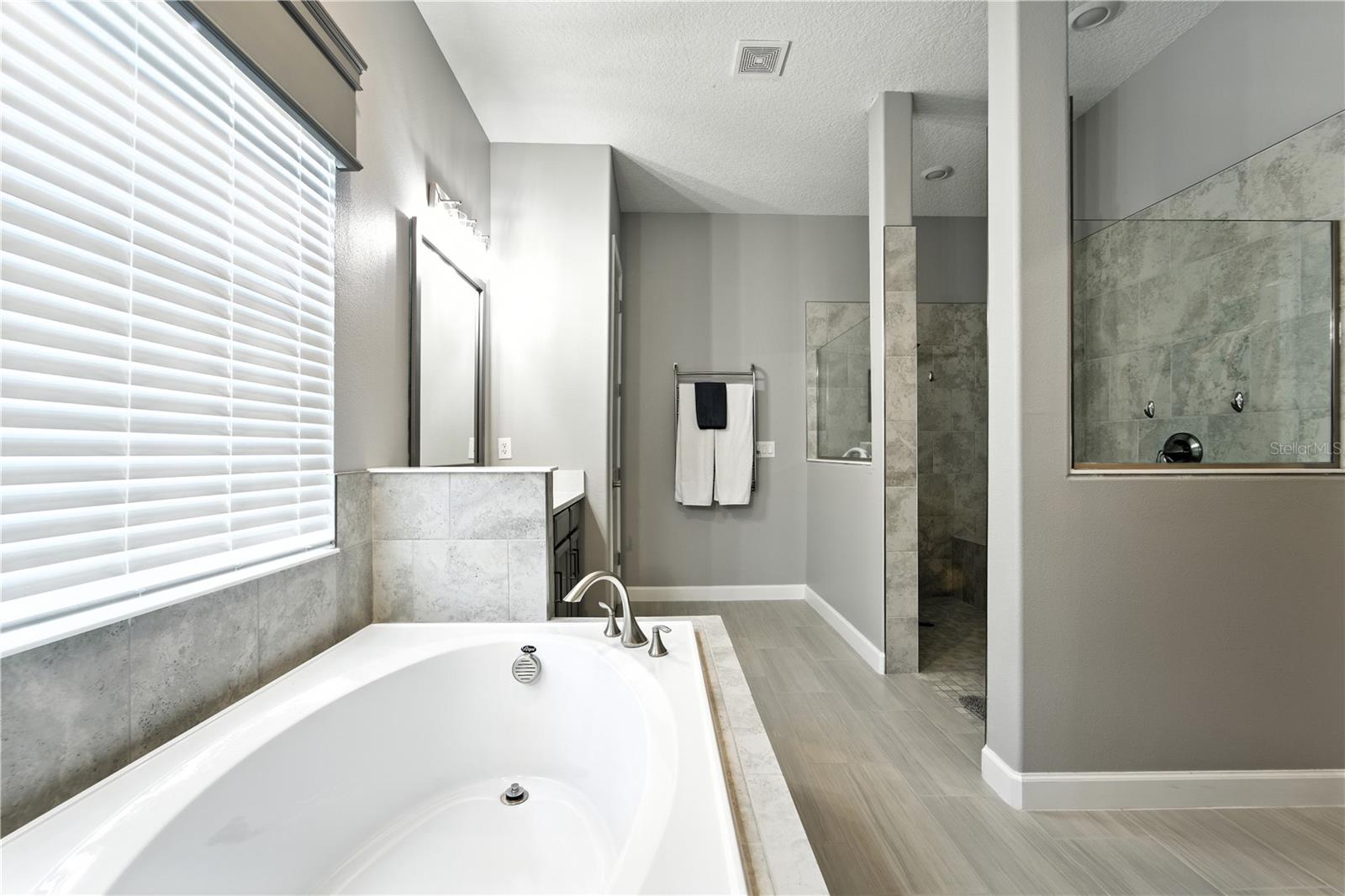 Image 34 of 71 For 10982 Banyan Breeze Boulevard