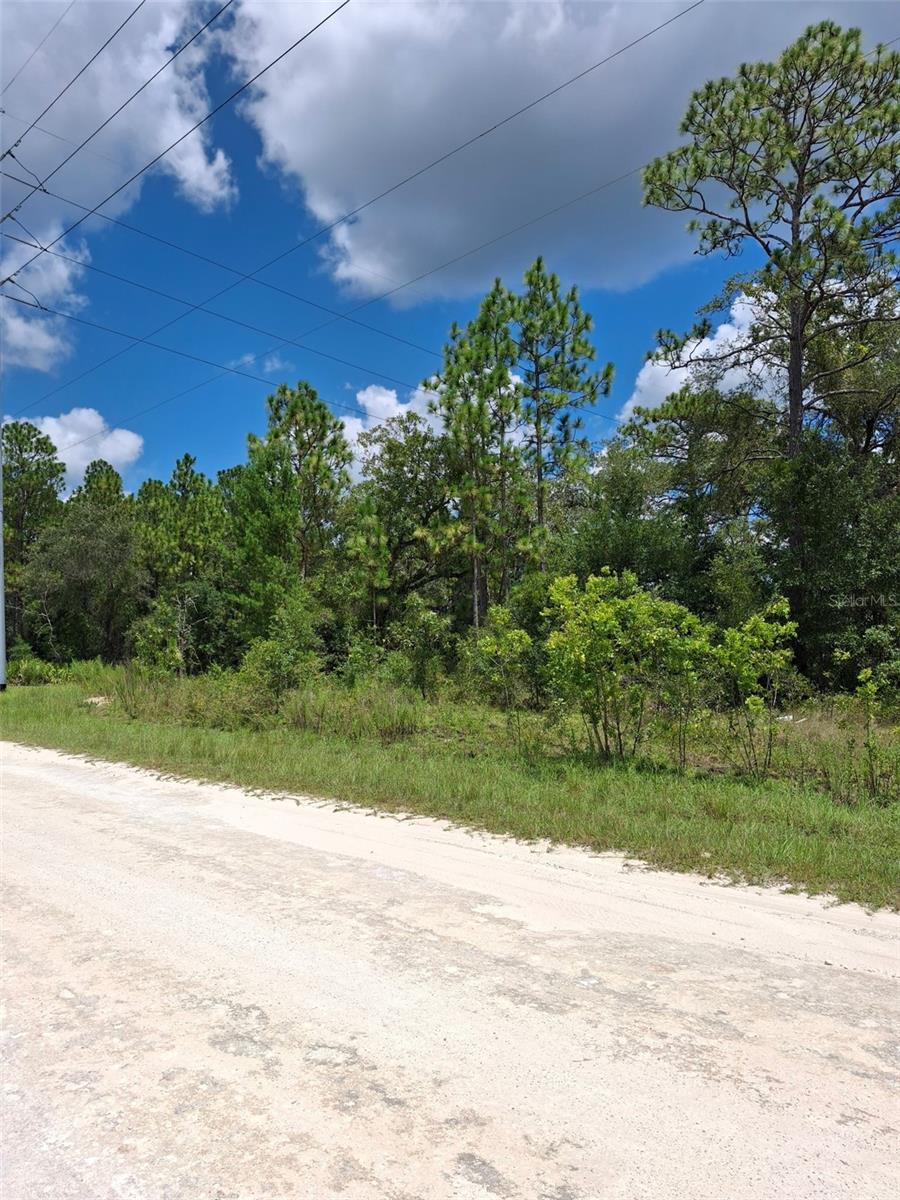 Details for 14020 Cedarwood Avenue, WEEKI WACHEE, FL 34614