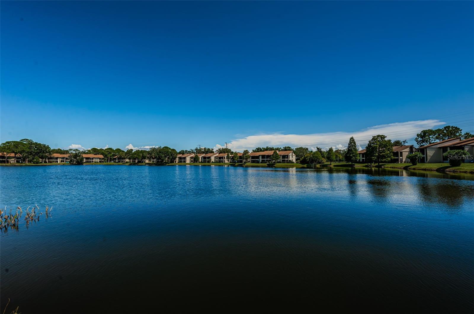 Image 22 of 25 For 312 Woodlake Wynde  312