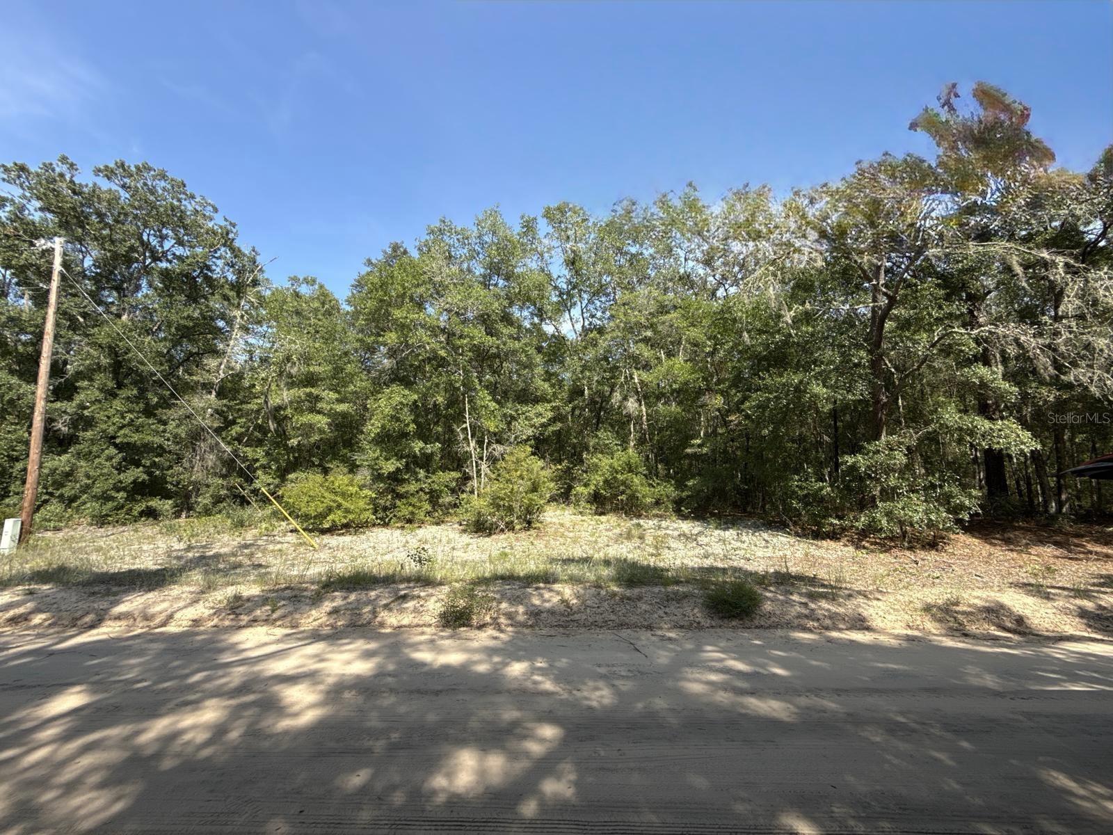 Details for Gloria Avenue, INTERLACHEN, FL 32148