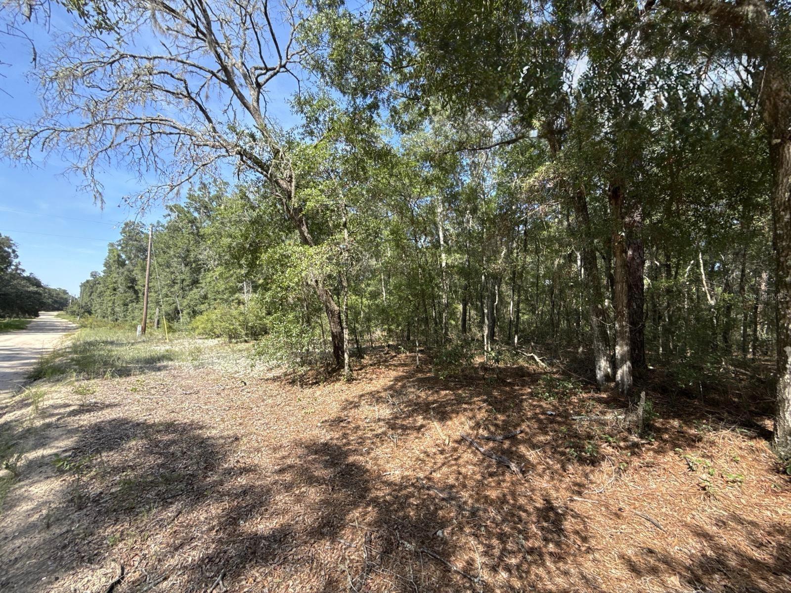 Image 3 of 9 For Gloria Avenue