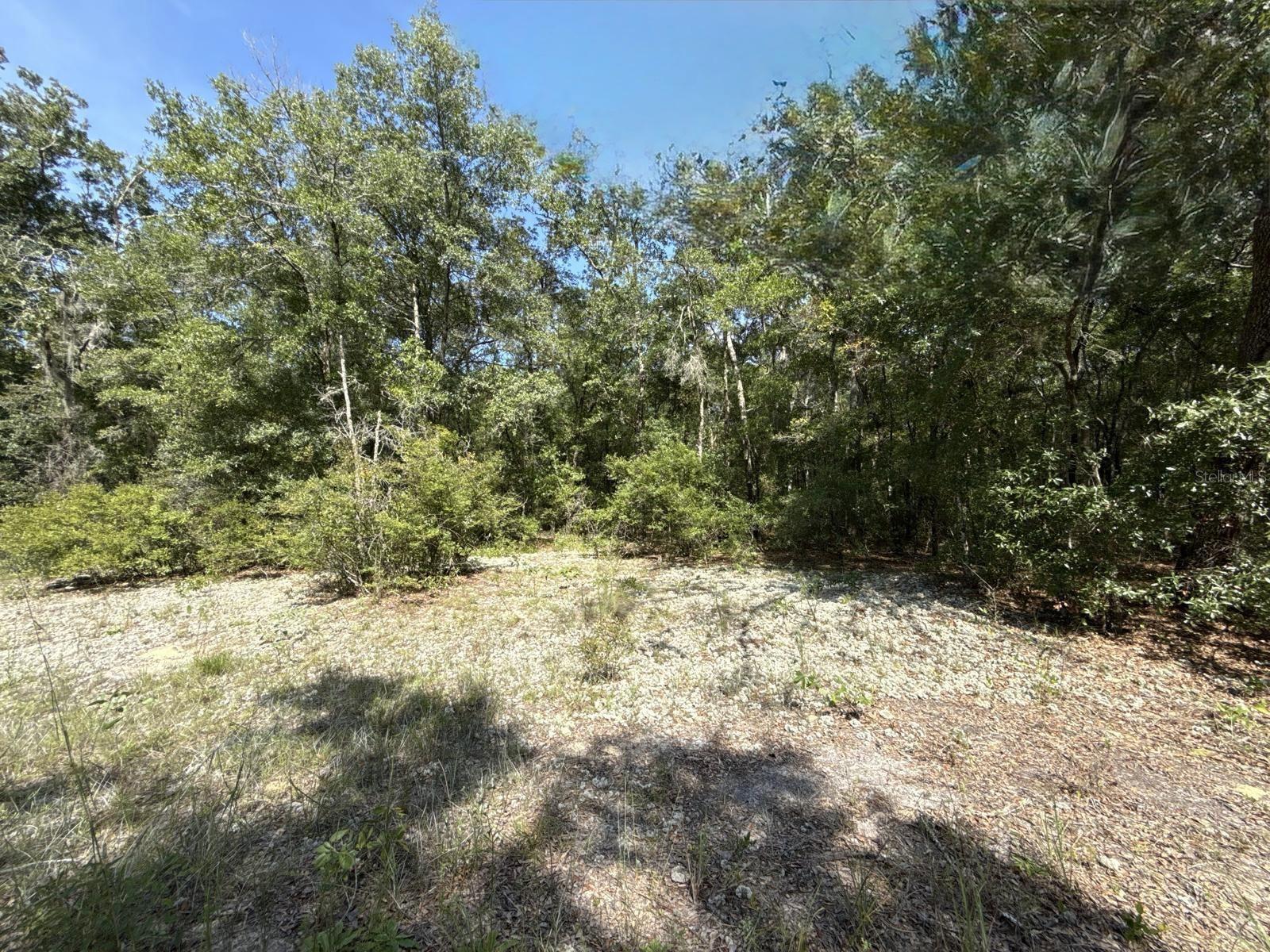 Image 4 of 9 For Gloria Avenue