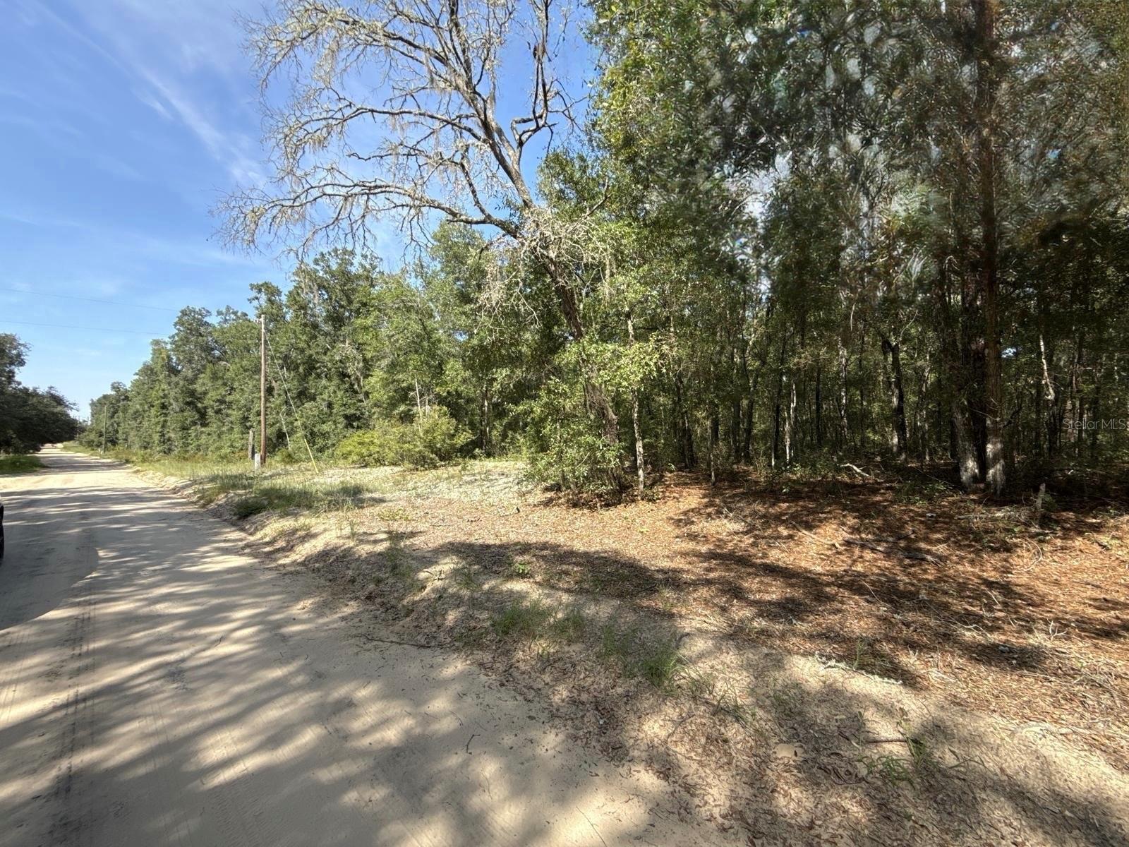 Image 5 of 9 For Gloria Avenue