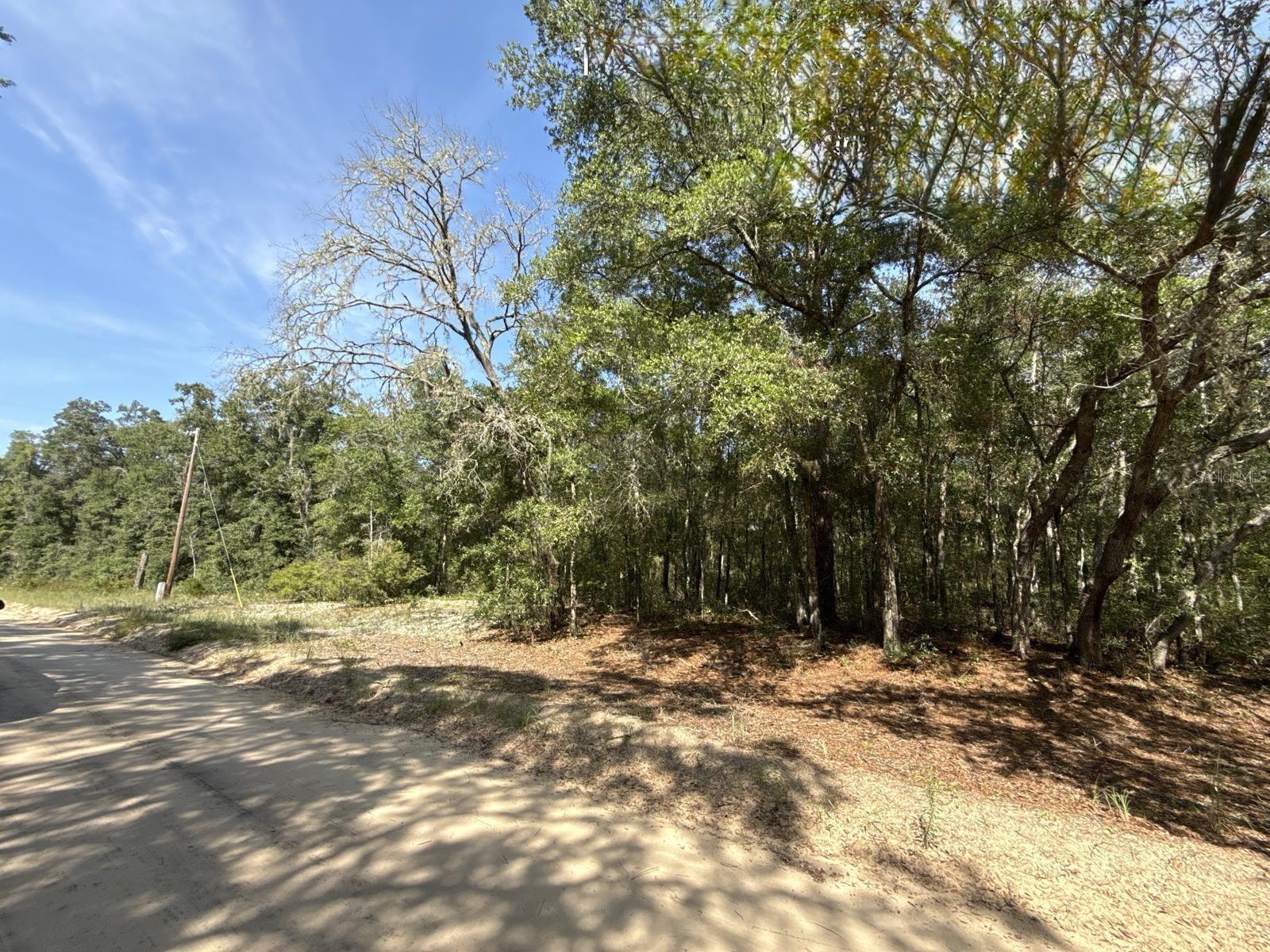 Image 6 of 9 For Gloria Avenue