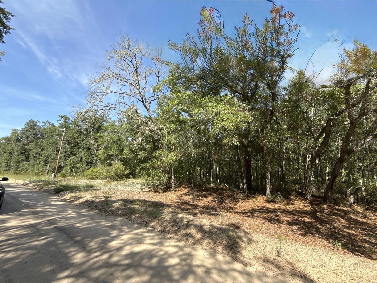 Image 7 of 9 For Gloria Avenue
