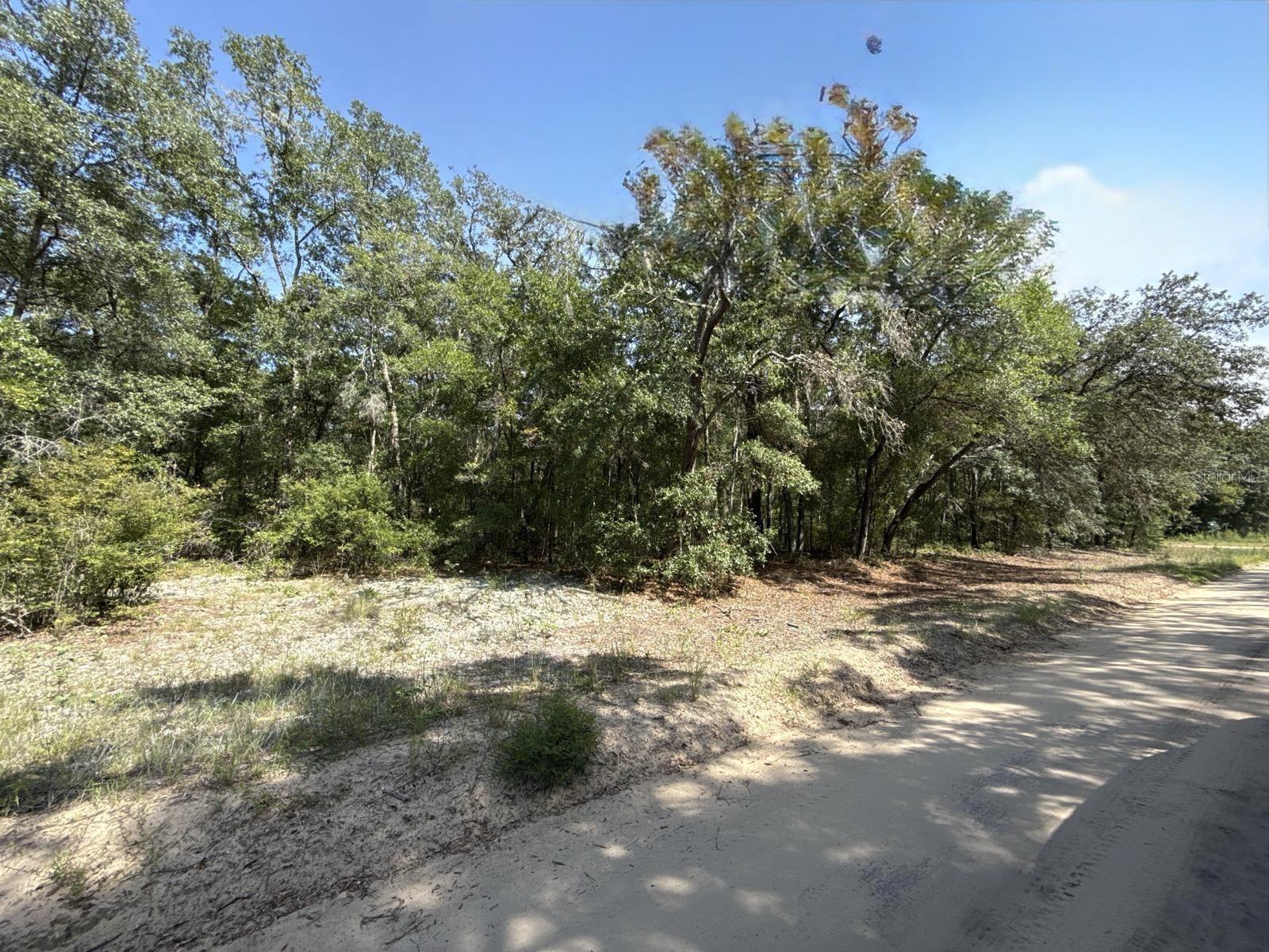 Image 8 of 9 For Gloria Avenue