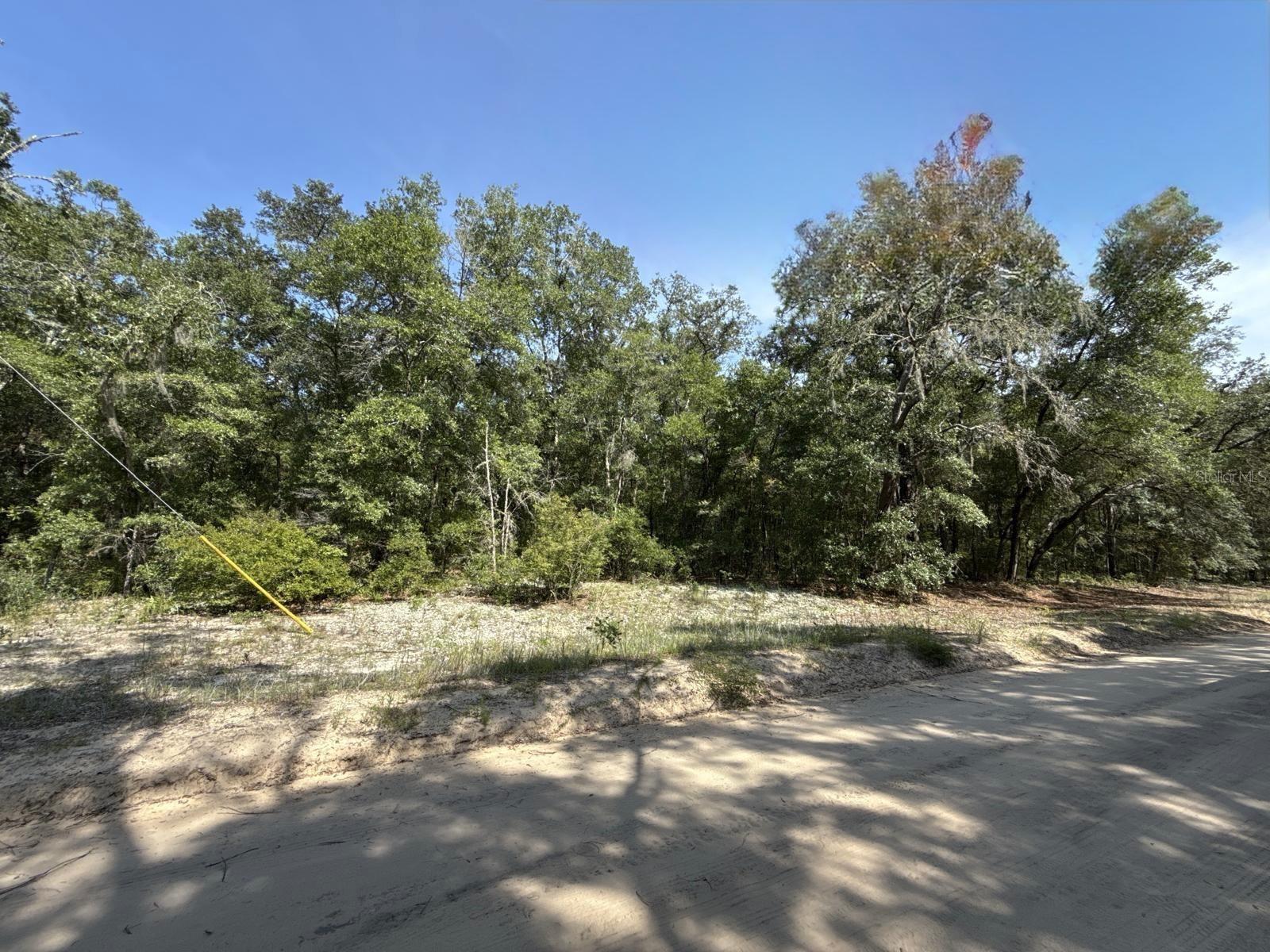 Image 9 of 9 For Gloria Avenue