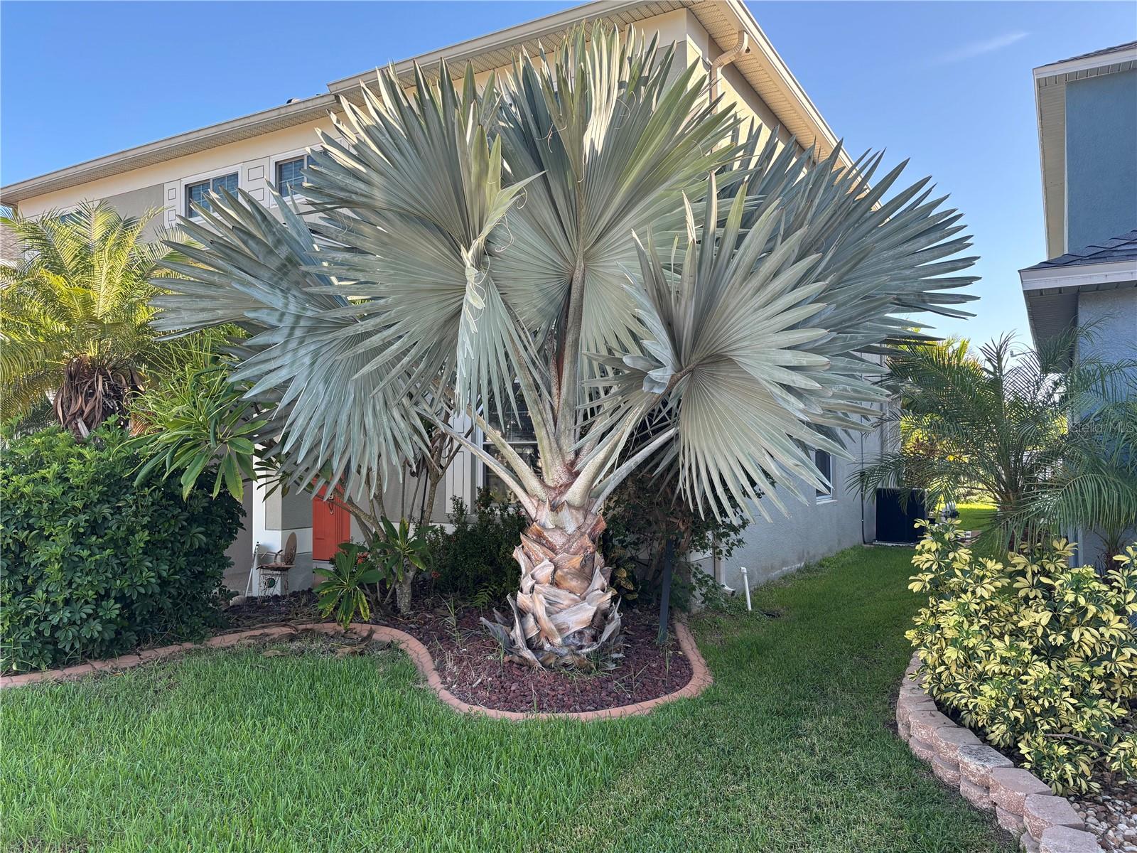 Image 3 of 32 For 13040 Avalon Crest Court