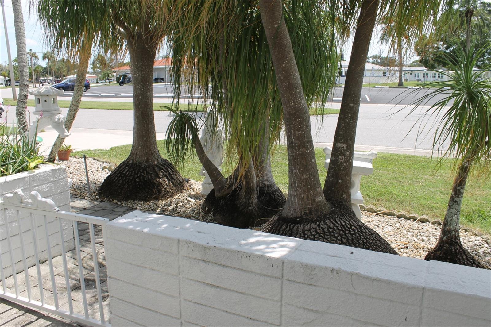 Image 3 of 50 For 9665 Mainlands Boulevard W