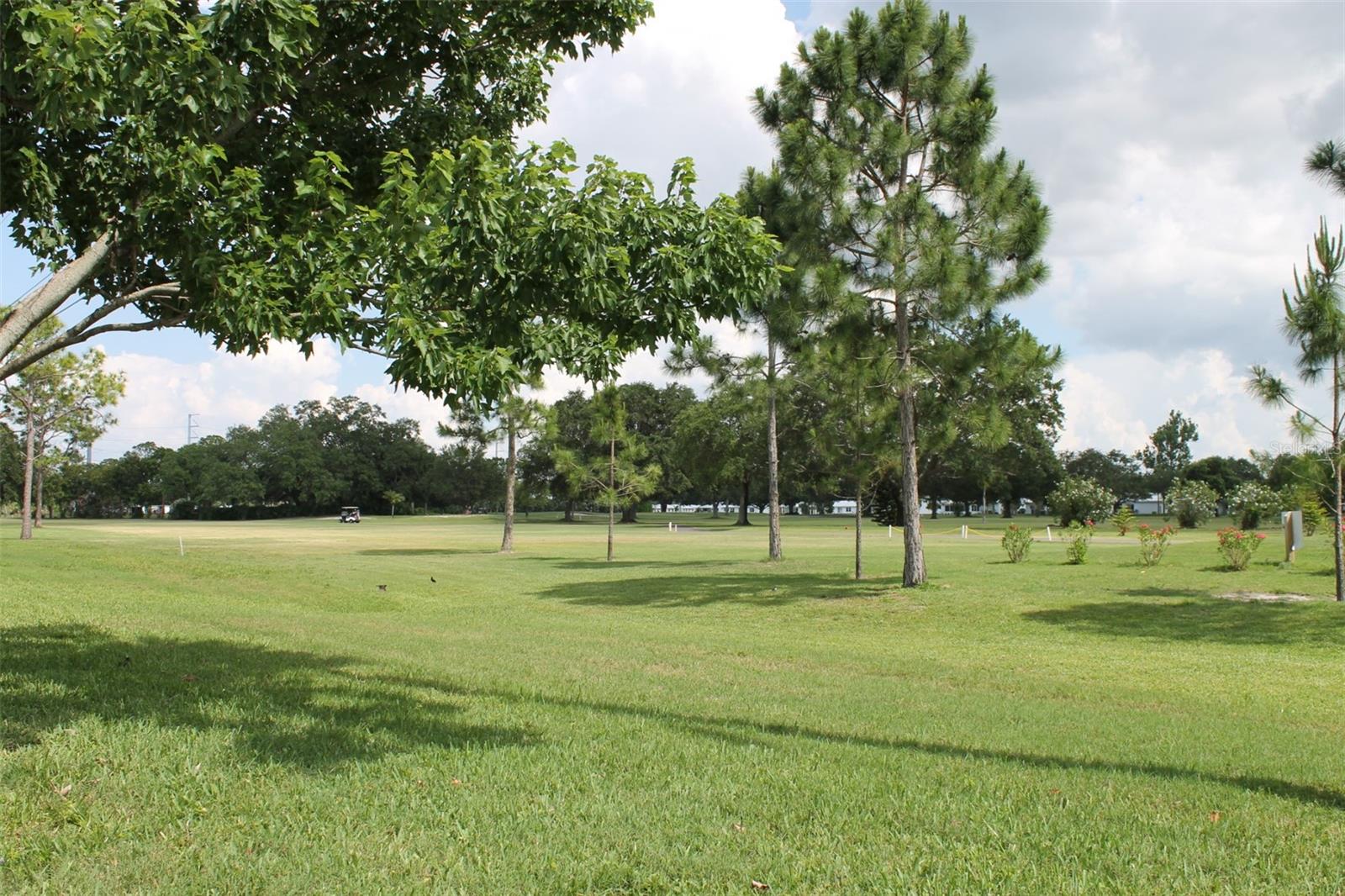 Image 49 of 50 For 9665 Mainlands Boulevard W
