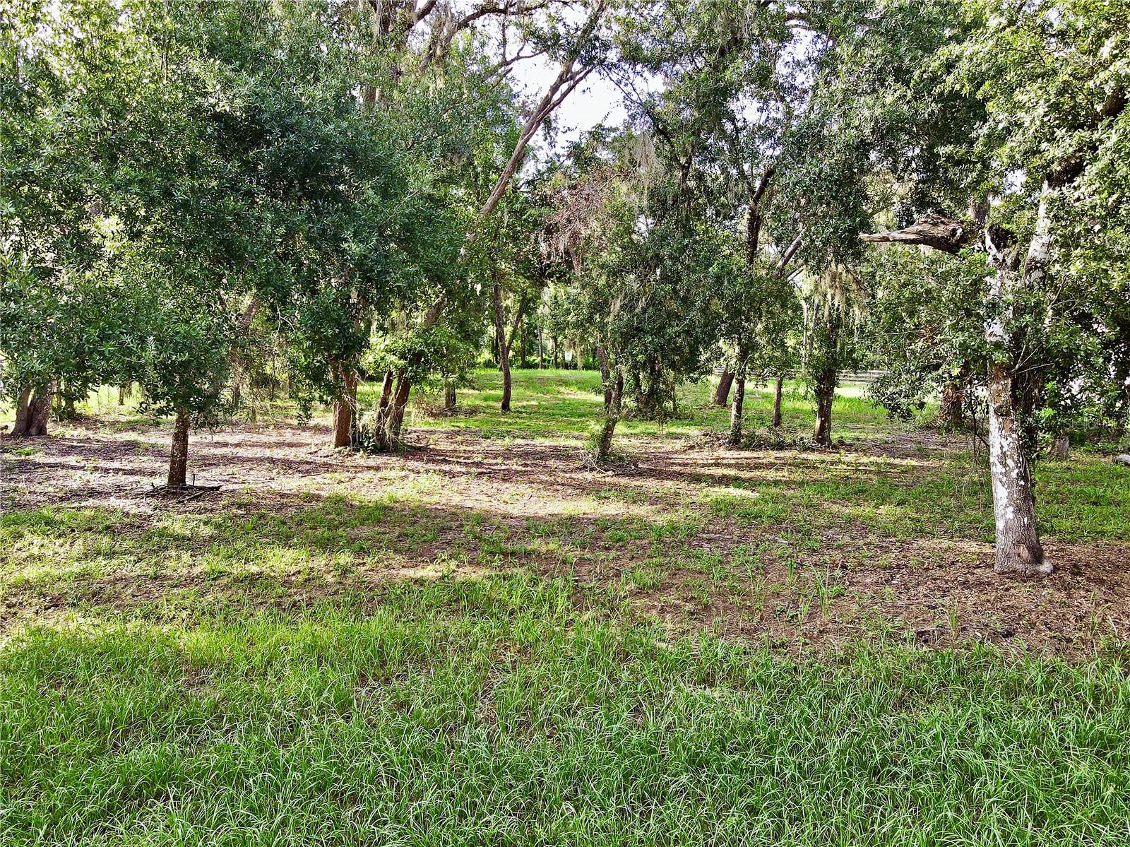 Image 8 of 25 For 35174 Roth Lane