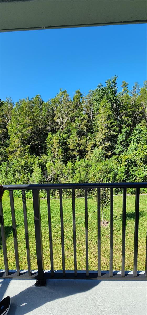 Image 16 of 75 For 29868 Picana Lane