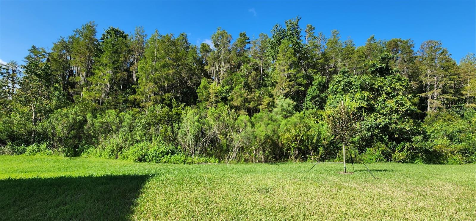 Image 54 of 75 For 29868 Picana Lane