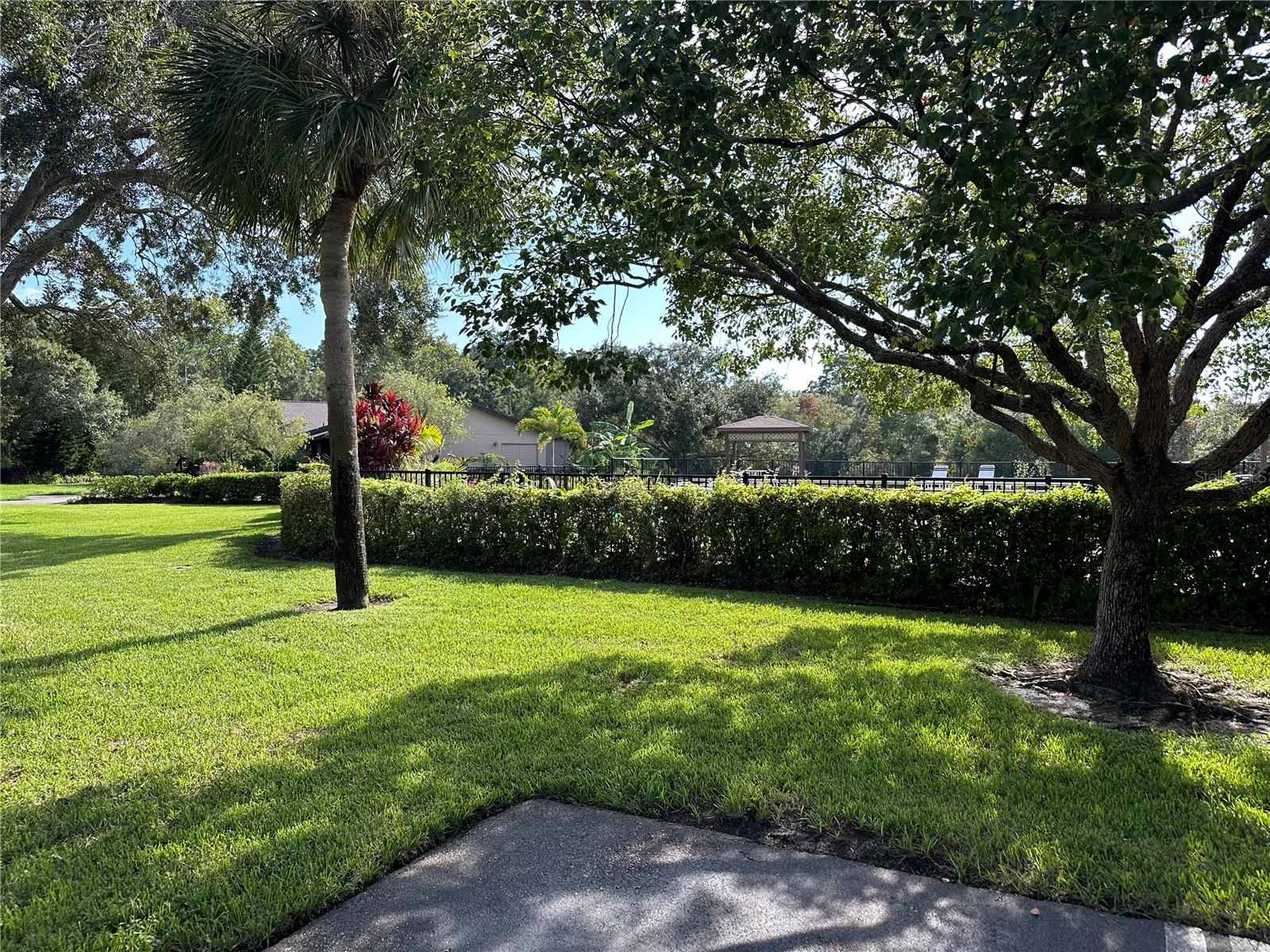 Image 16 of 24 For 1400 Tarpon Woods Boulevard C5