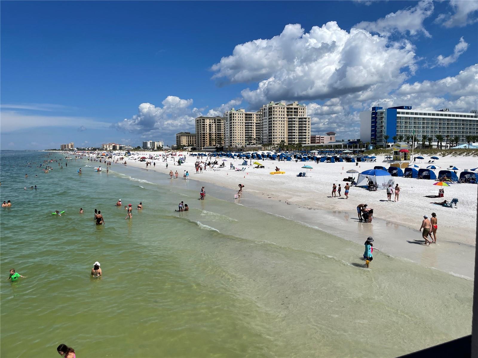 Image 19 of 24 For 1400 Tarpon Woods Boulevard C5