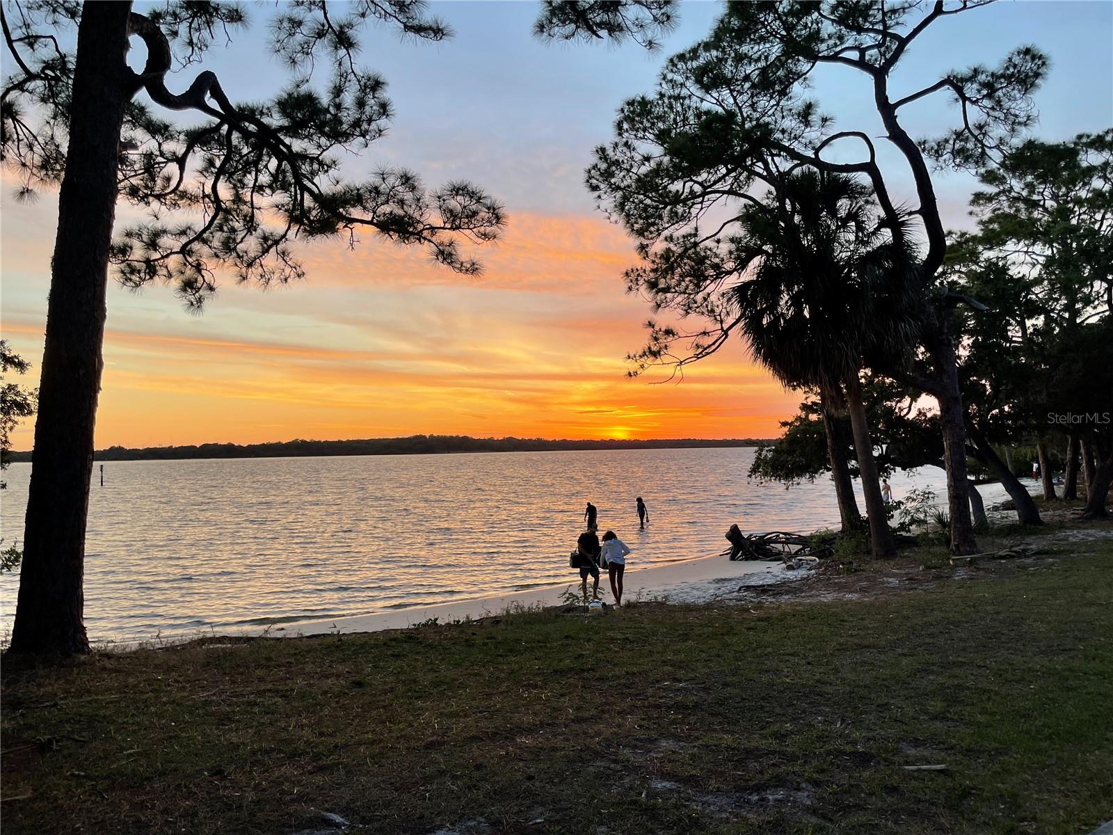 Image 24 of 24 For 1400 Tarpon Woods Boulevard C5