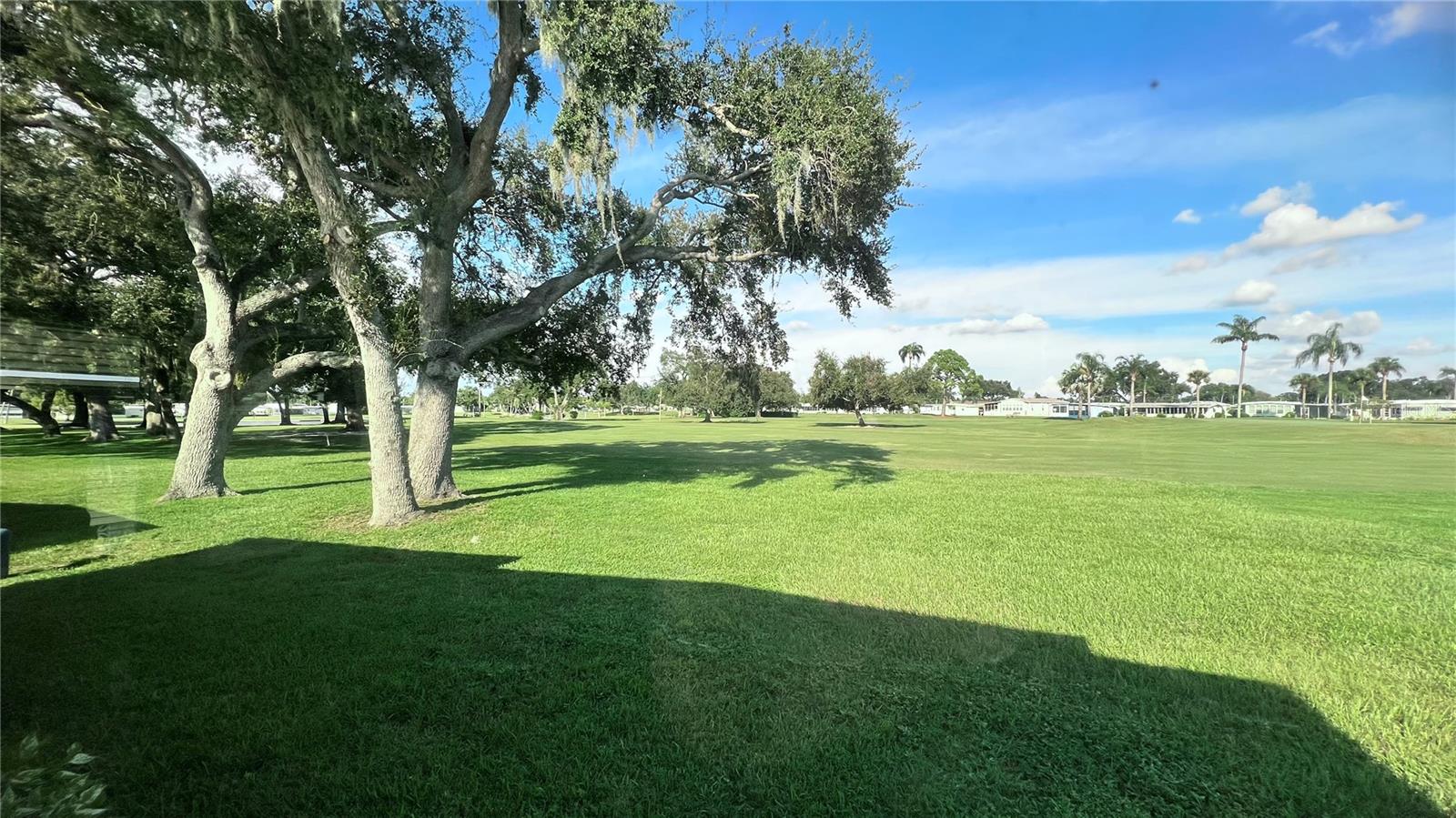 Image 5 of 77 For 1100 Belcher Road S 445