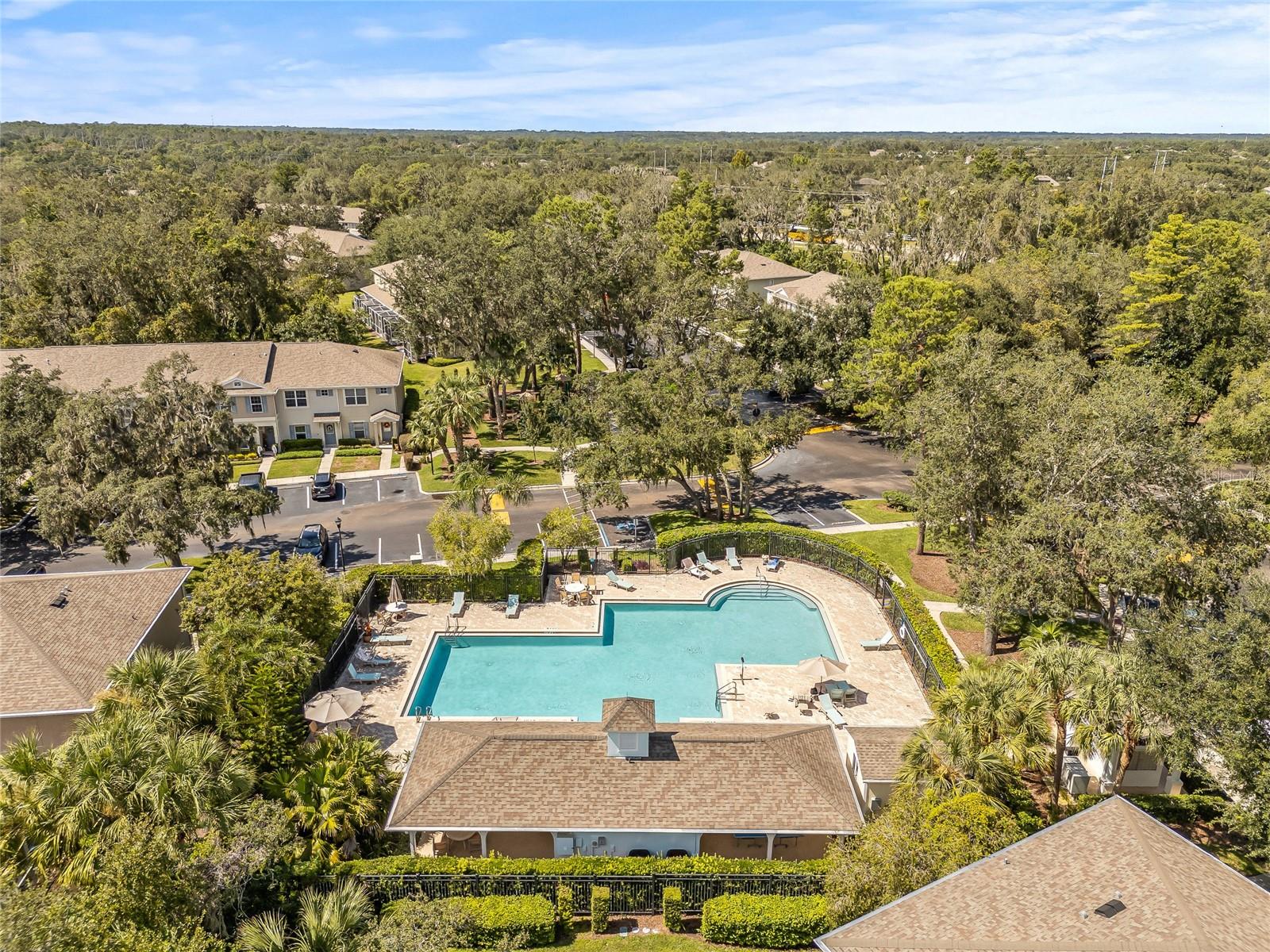 Image 40 of 48 For 15942 Fishhawk View Drive
