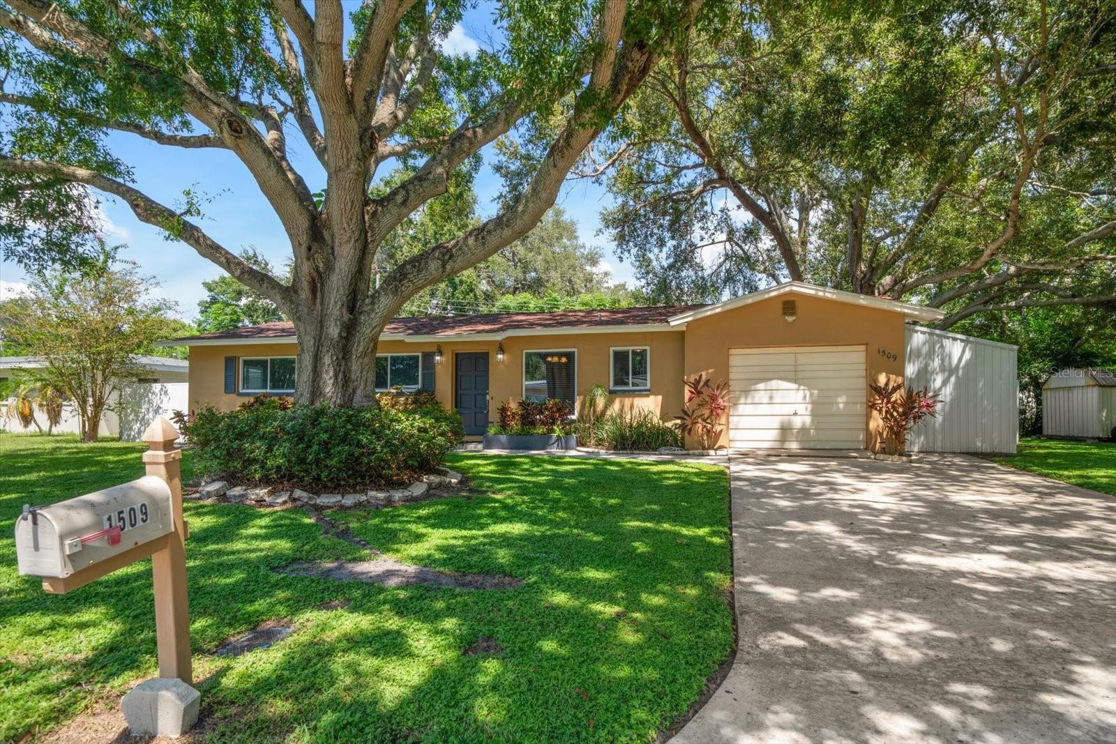 Details for 1509 Evergreen Avenue, CLEARWATER, FL 33756