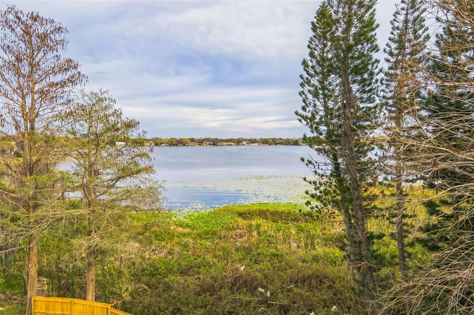 Image 37 of 39 For 14333 Lake Magdalene Boulevard