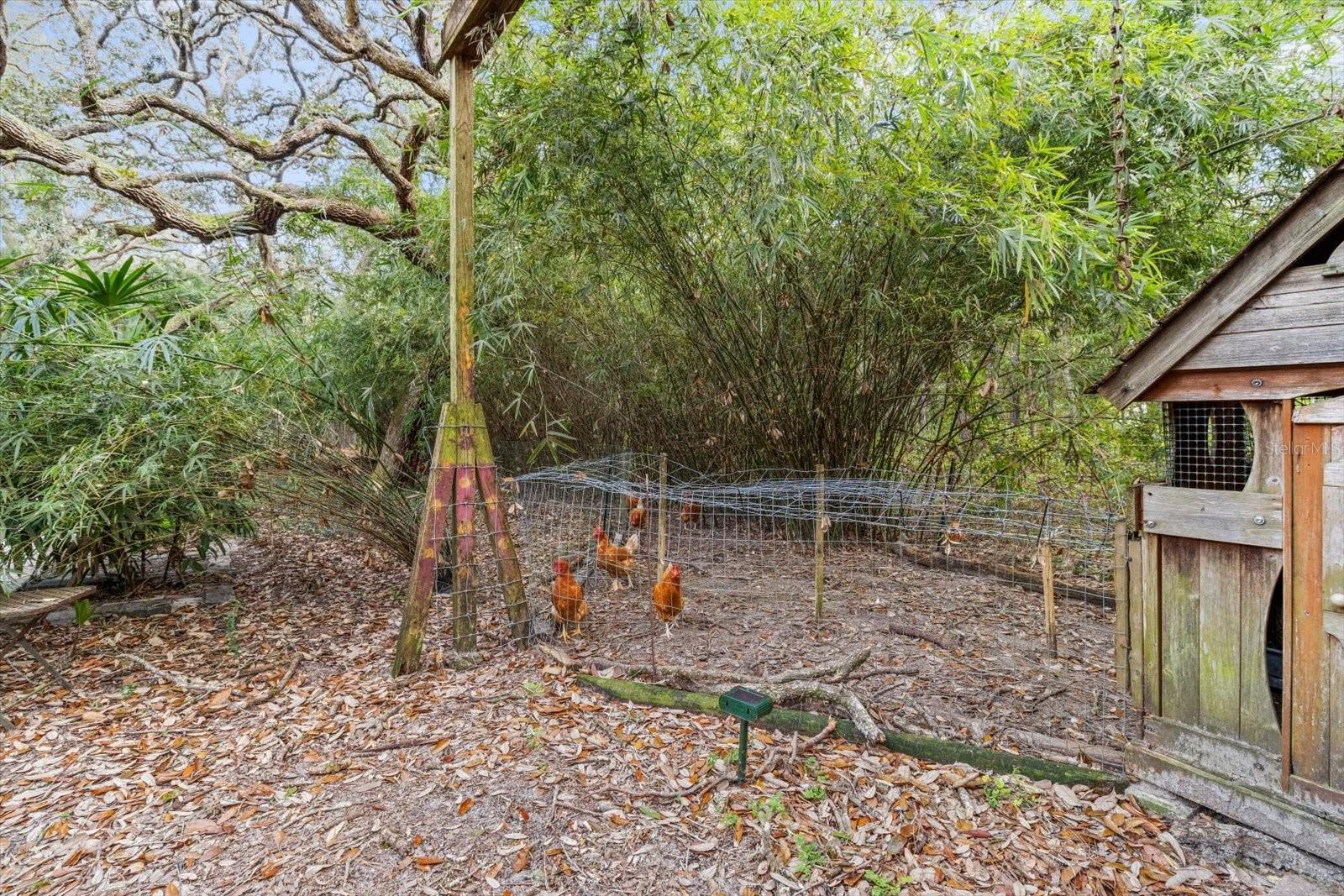 Image 41 of 51 For 1788 Manila Lane