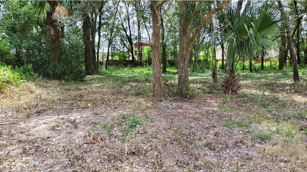 Details for 25050 Algonquin Avenue, MOUNT PLYMOUTH, FL 32776