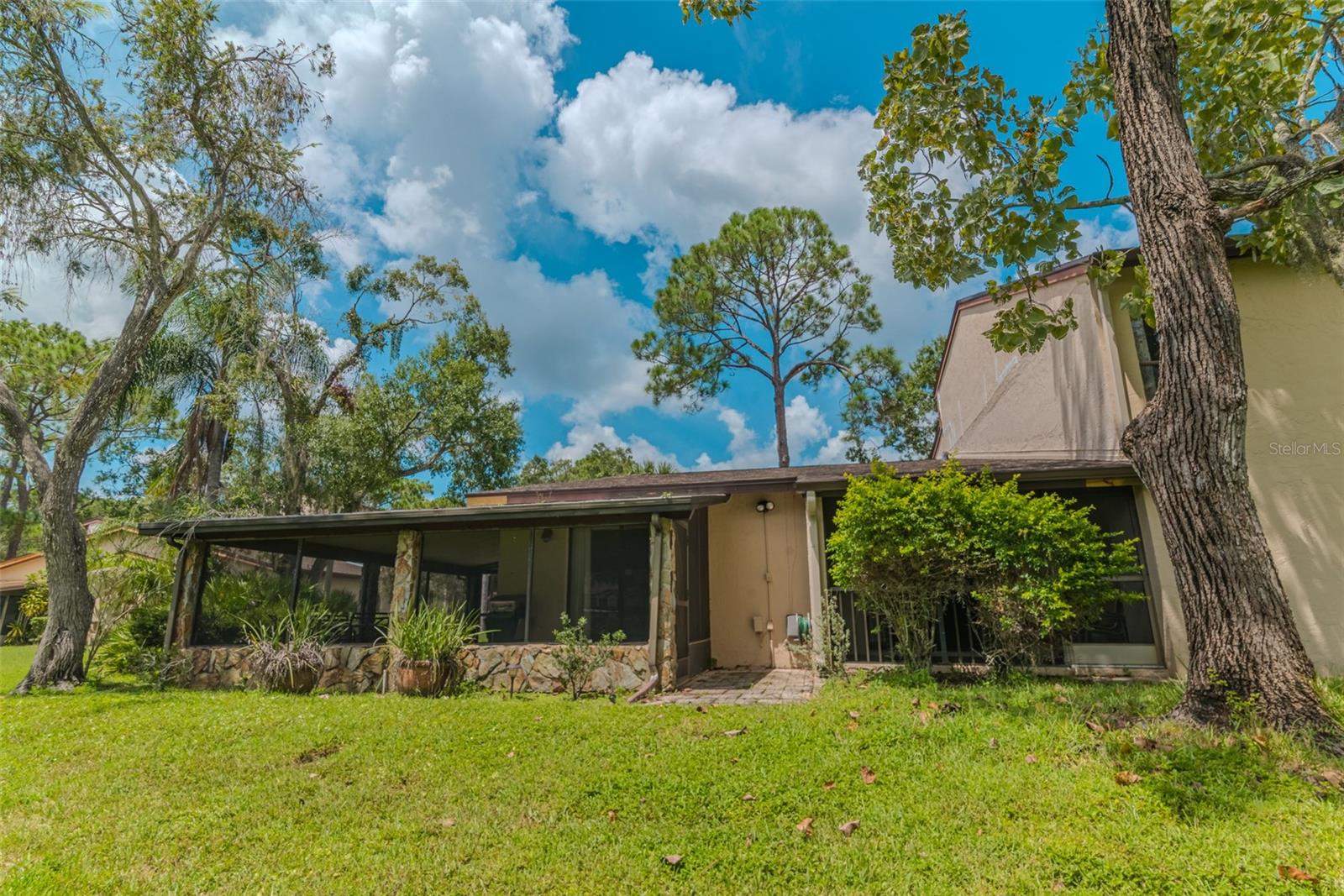 Image 11 of 39 For 1200 Tarpon Woods Boulevard P1