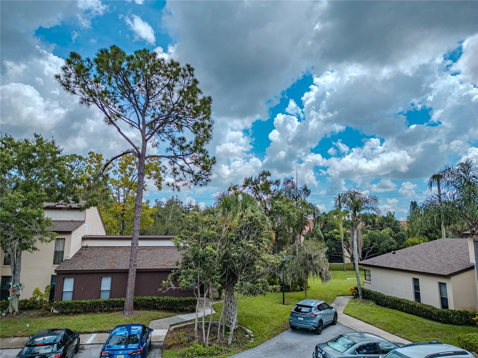 Image 3 of 39 For 1200 Tarpon Woods Boulevard P1