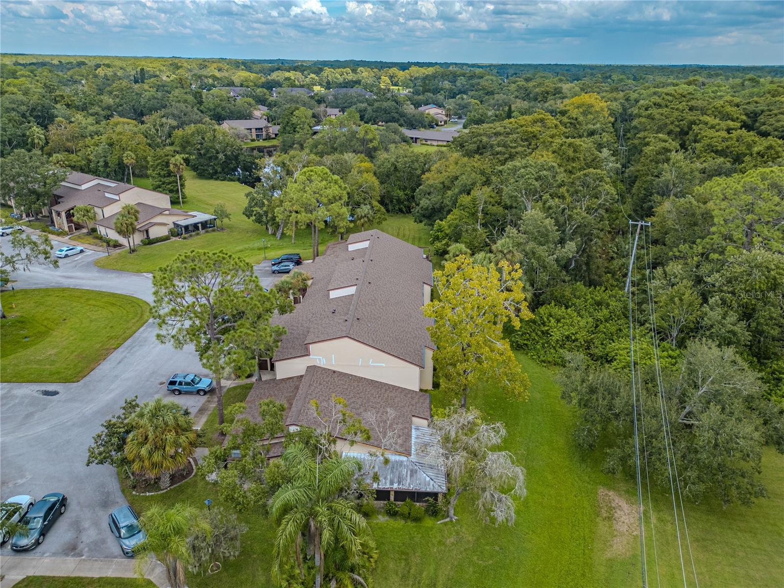 Image 4 of 39 For 1200 Tarpon Woods Boulevard P1