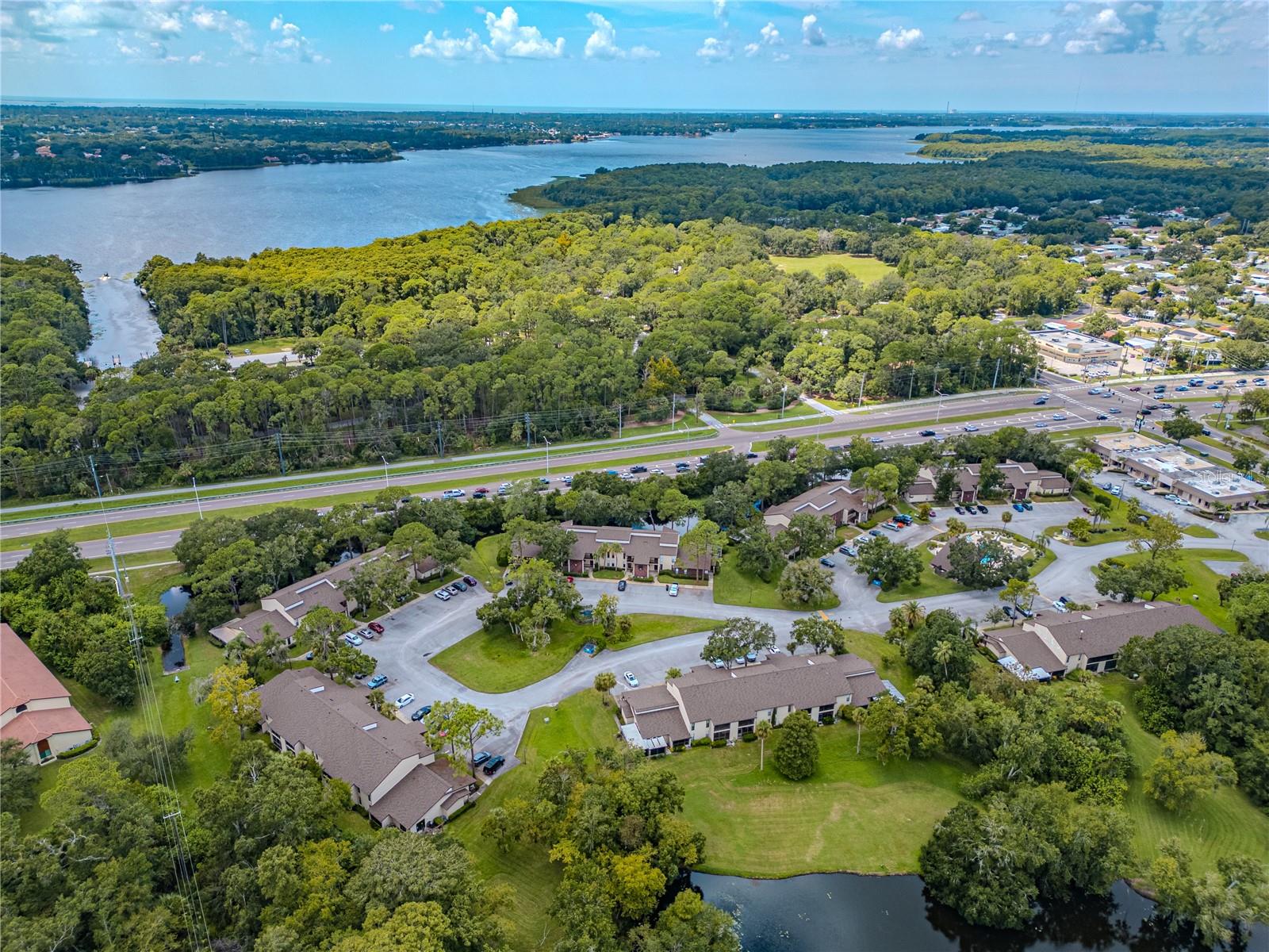 Image 5 of 39 For 1200 Tarpon Woods Boulevard P1